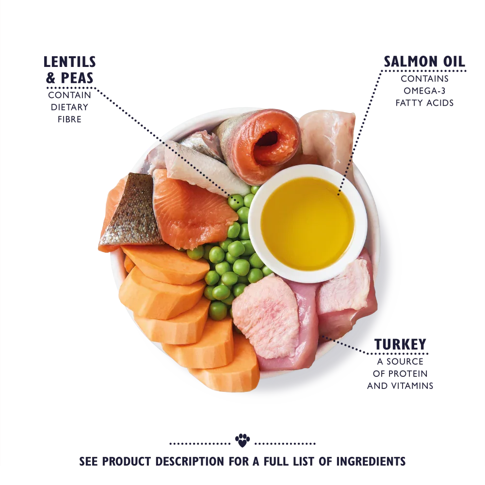 ZDSR-Turkey-Trout-Dry-Food-Senior-Dogs_ingredients_3000x.webp