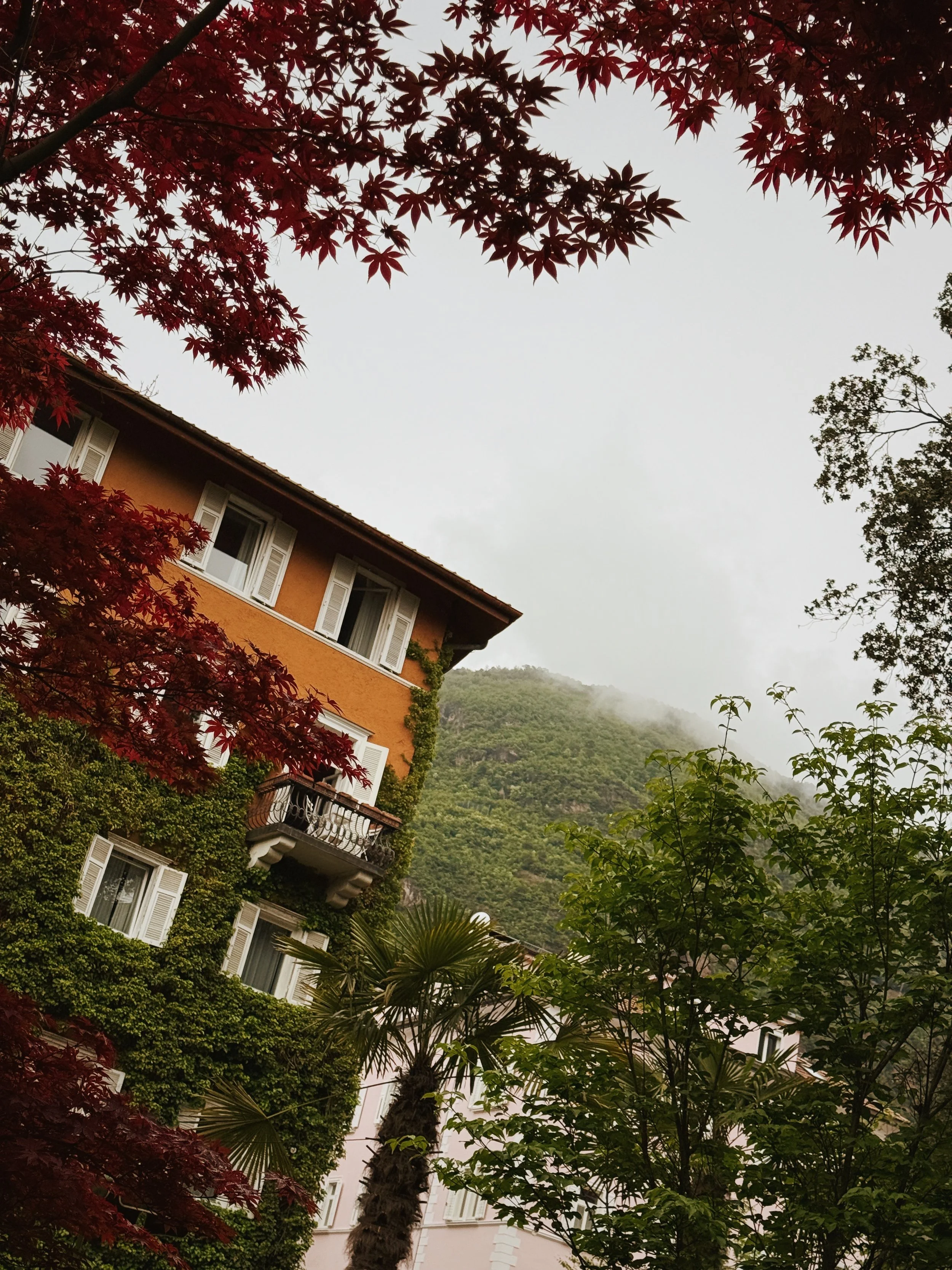 Historic ivy-covered façade of Parkhotel Mondschein in Bolzano, Italy, set against alpine landscape.