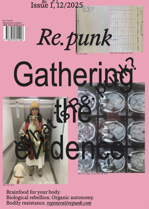 Re. punk Issue 1 Cover.png