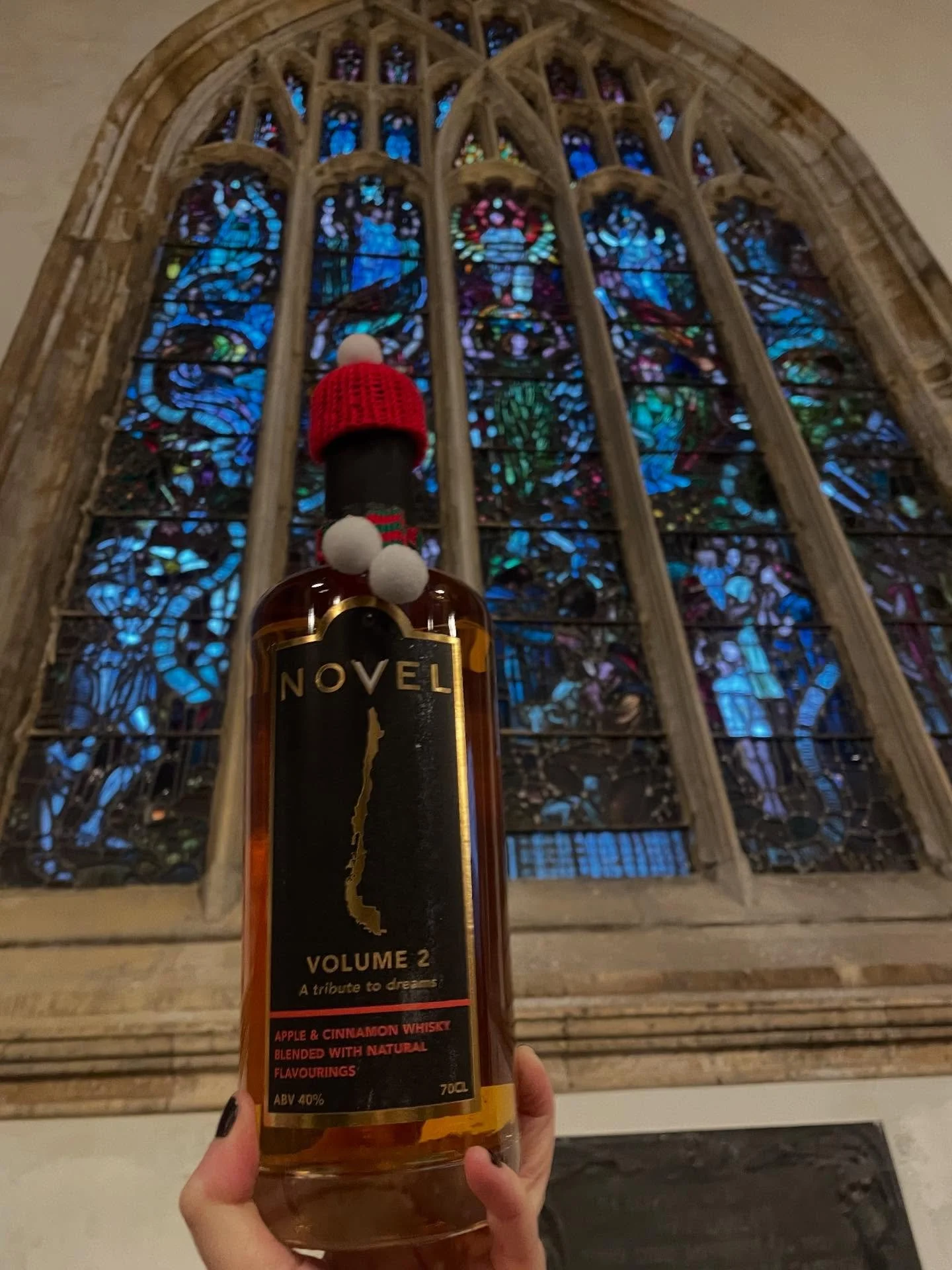 Last chance for you to get your loved ones a bottle of Novel for Christmas! Head to our website (link in bio) or visit us at Hull Minster Christmas Markets on 21 December, West Didsbury and Spinningfields Christmas markets on 21 and 22 December 🎄 🎁