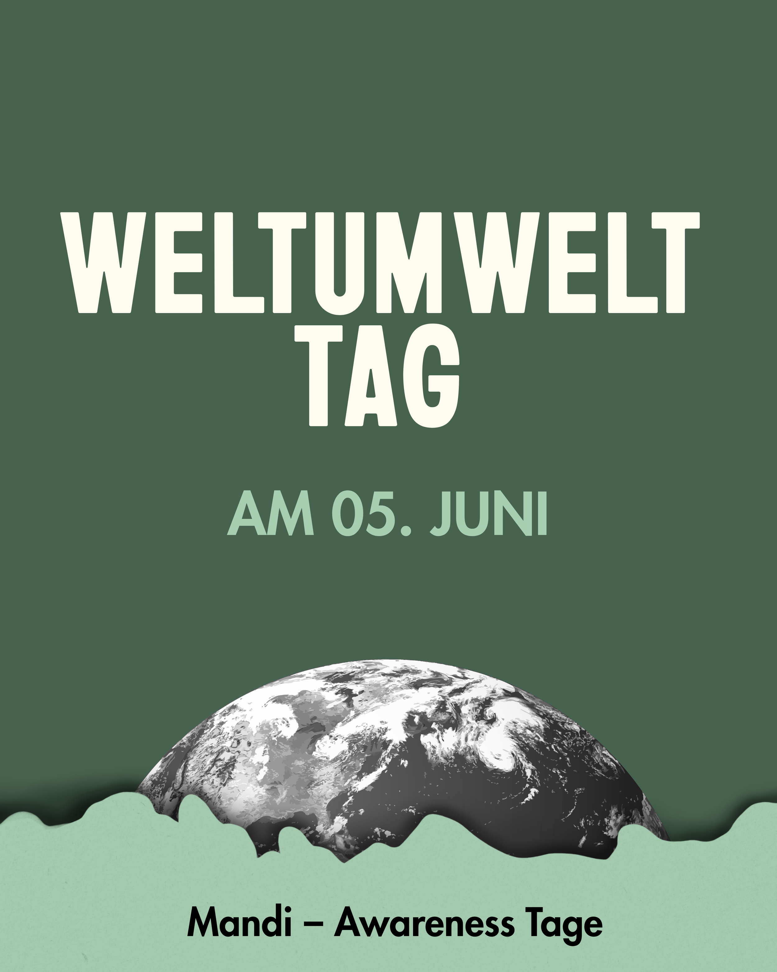 Kopie von new  (18).png