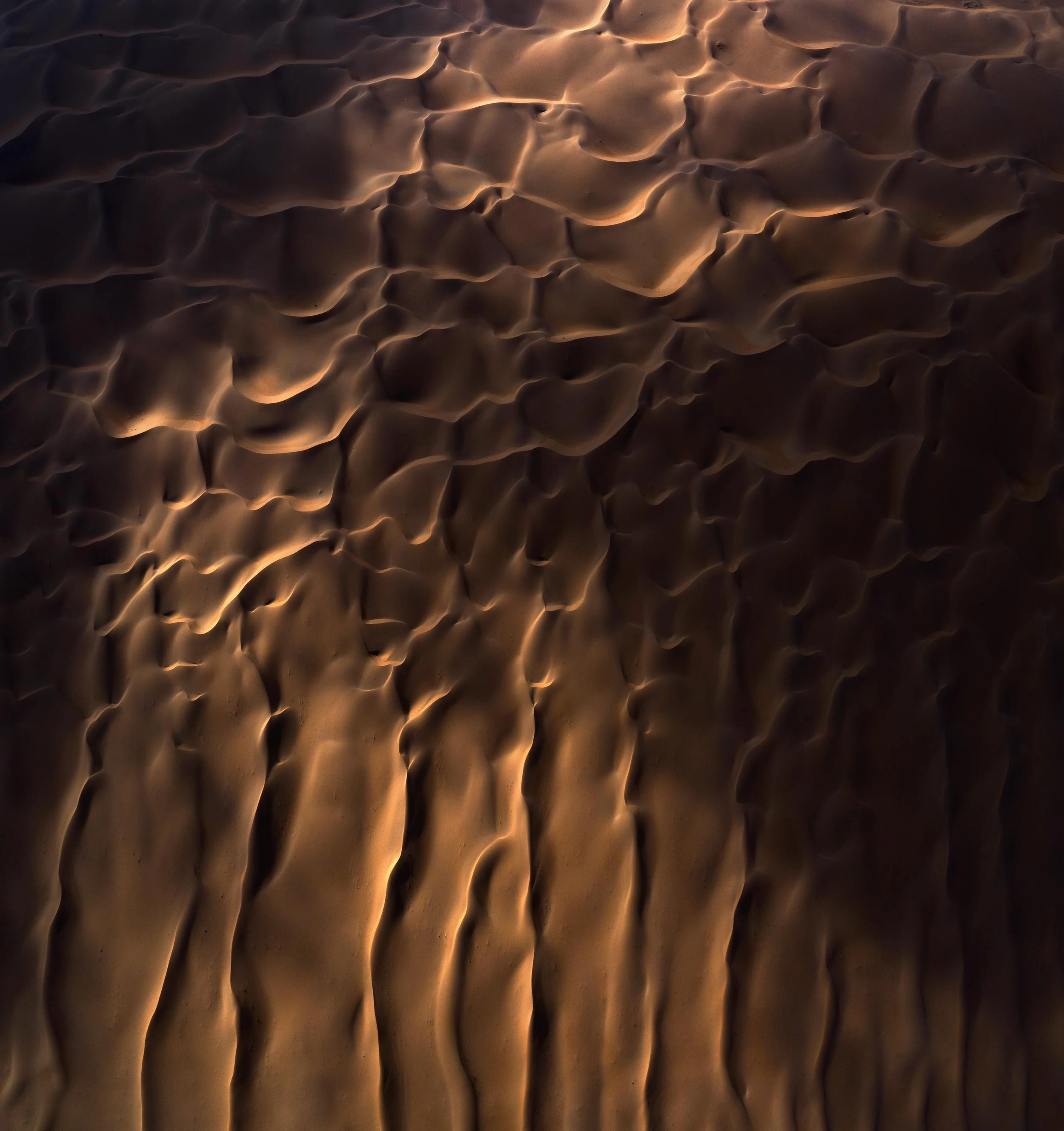 WhatsApp Image 2025-01-16 at 10.51.50 AM.jpeg