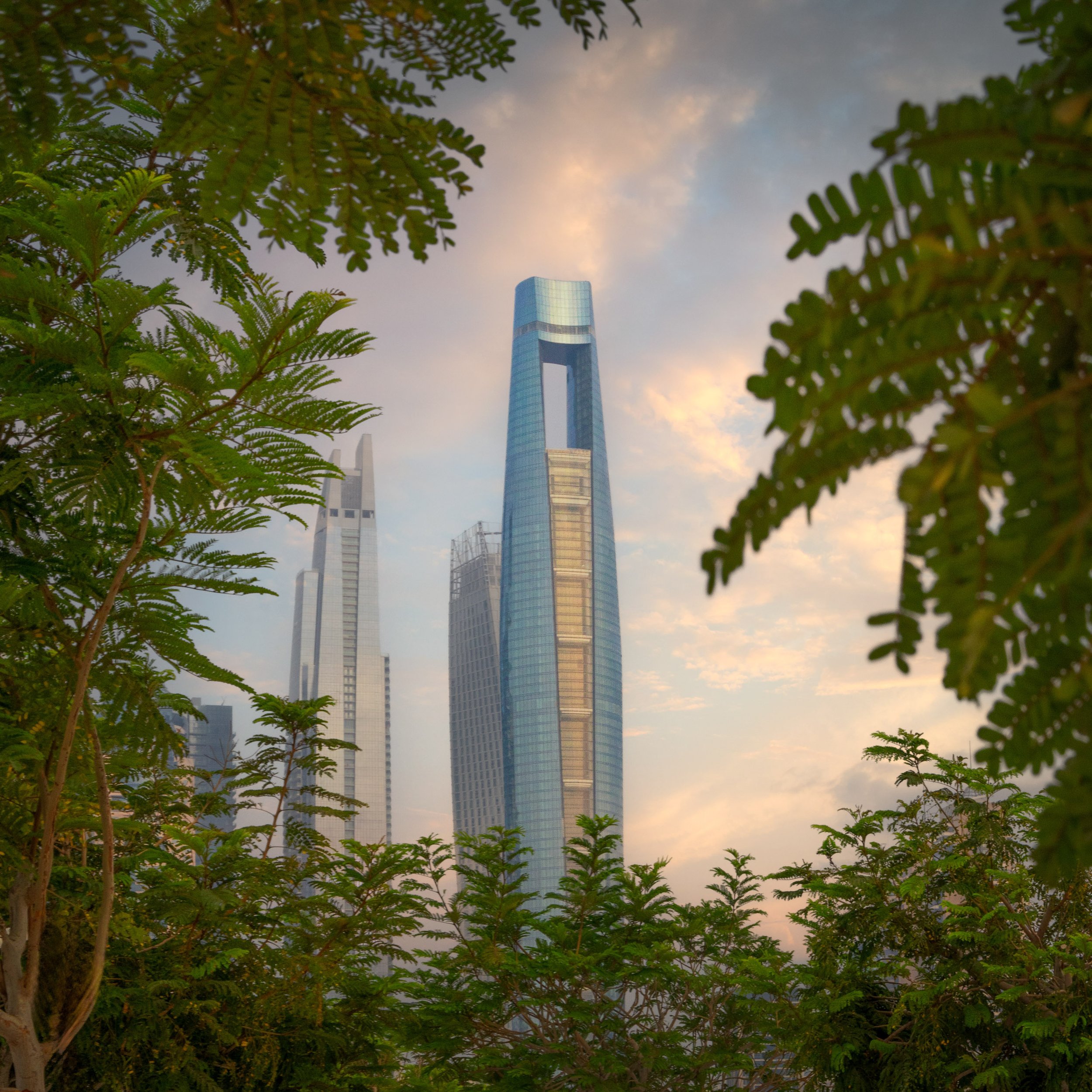 Ciel Dubai Marina by NORR, seen through the trees
