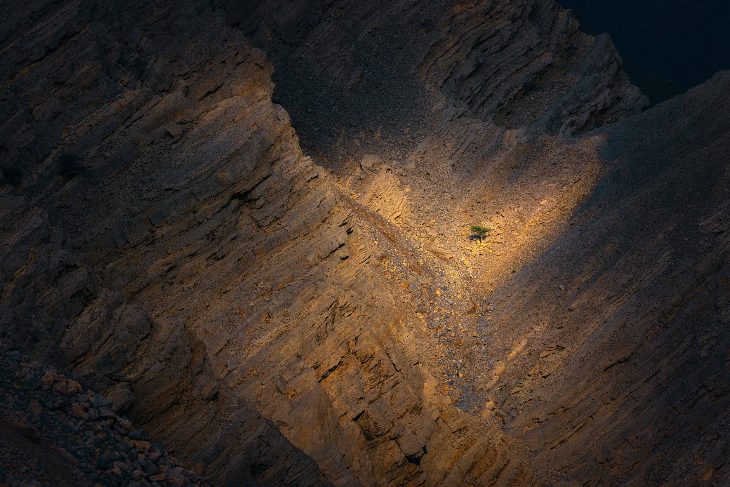 lone-tree-sunlight-shaft-rocky-mountain-ravine-uae-sarab.jpg