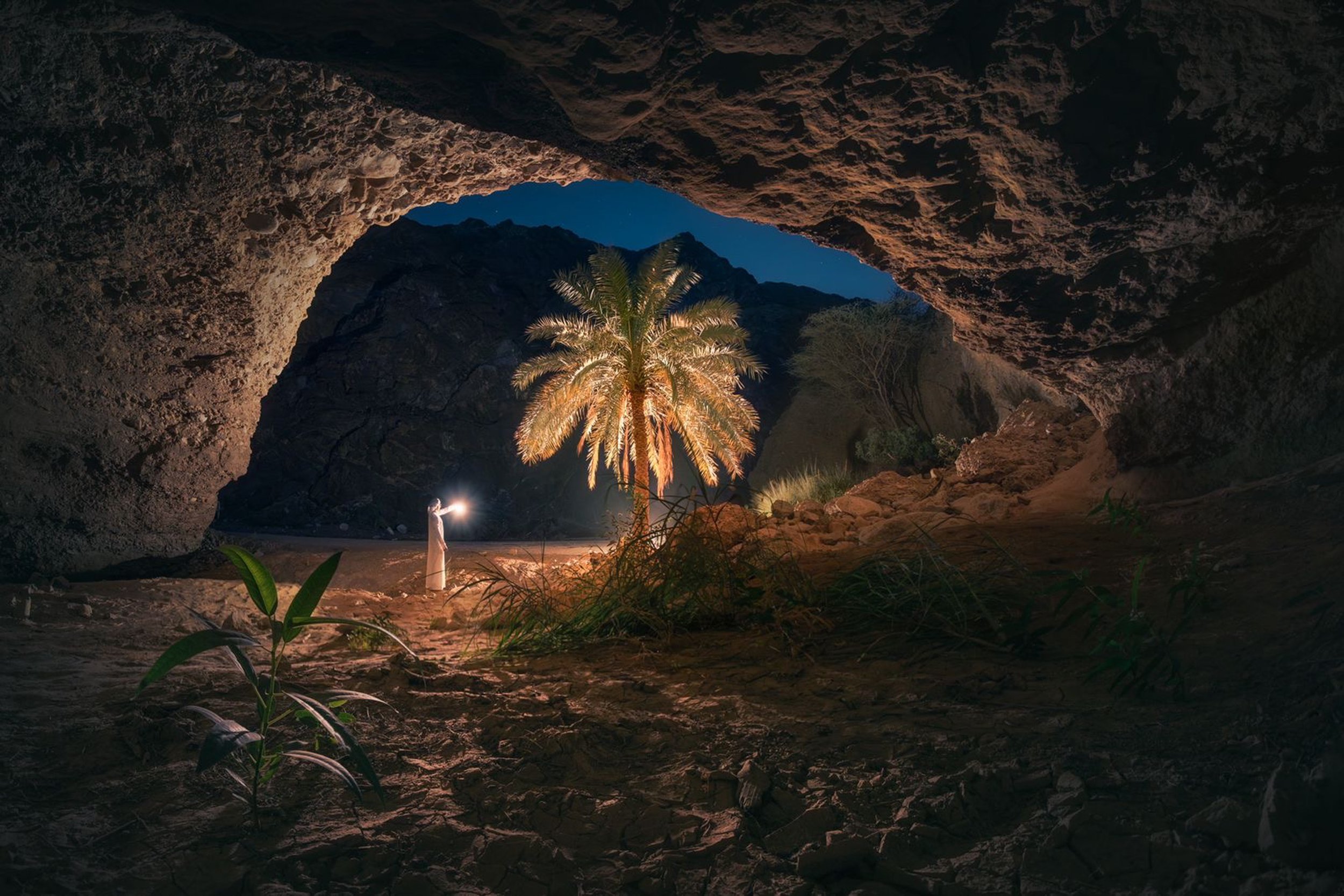 illuminated-palm-tree-cave-lantern-night-uae-sarab.jpg