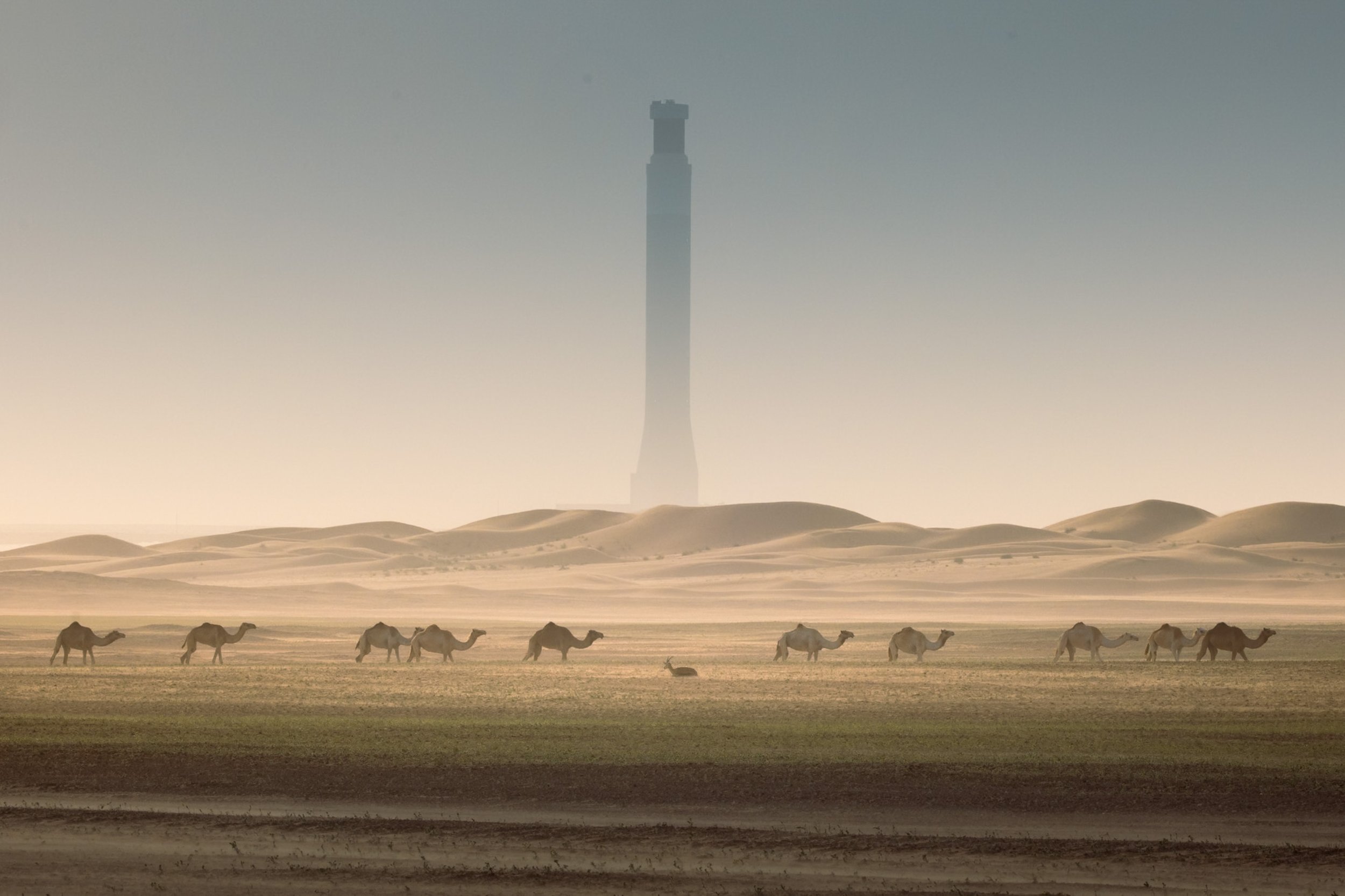 Dubai-landscape-mbr-solar-tower-gazelles-camels-fine-art-sarab.jpg