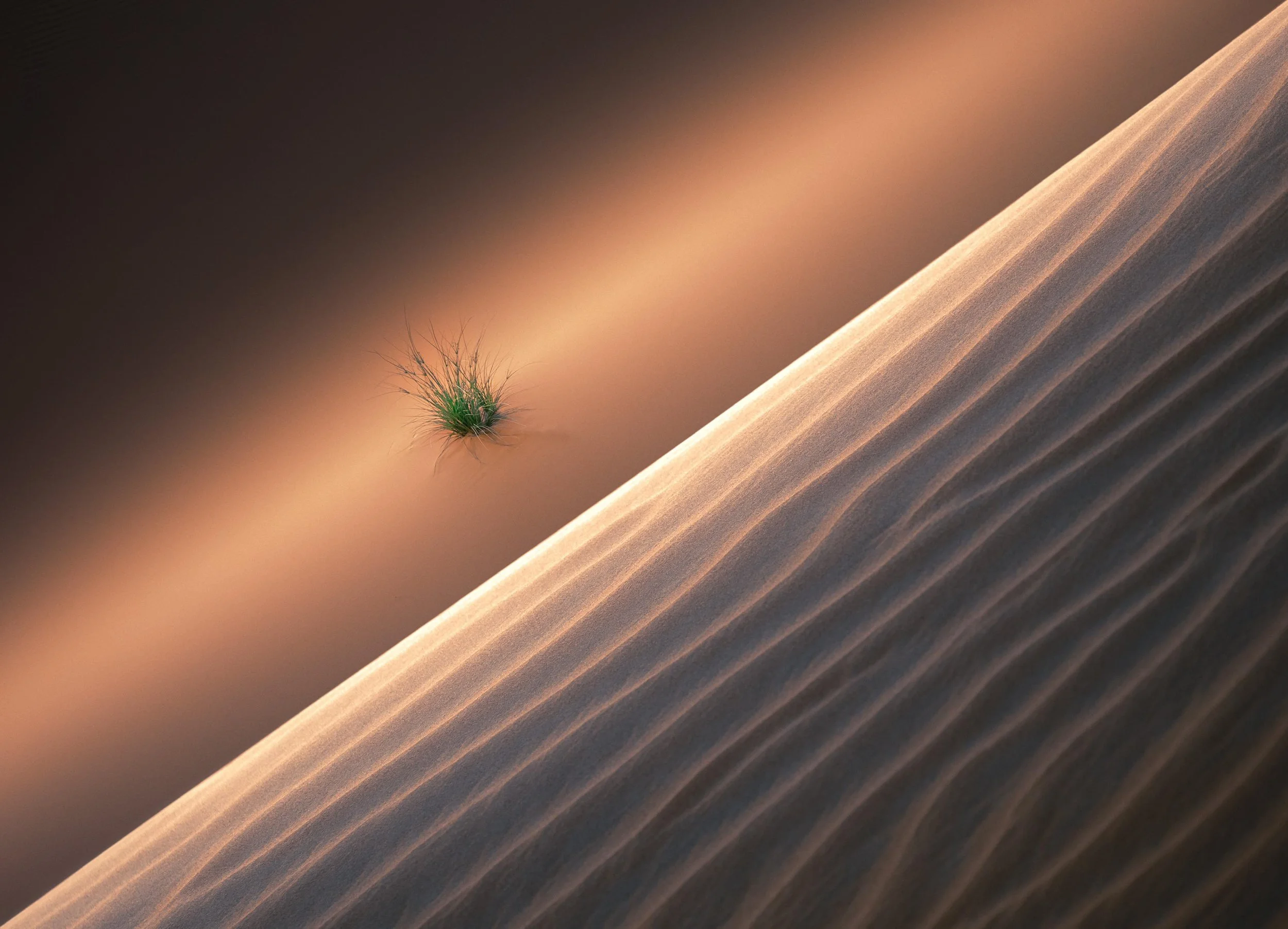 abstract-sand-dune-ripples-single-green-plant-uae-sarab.jpg