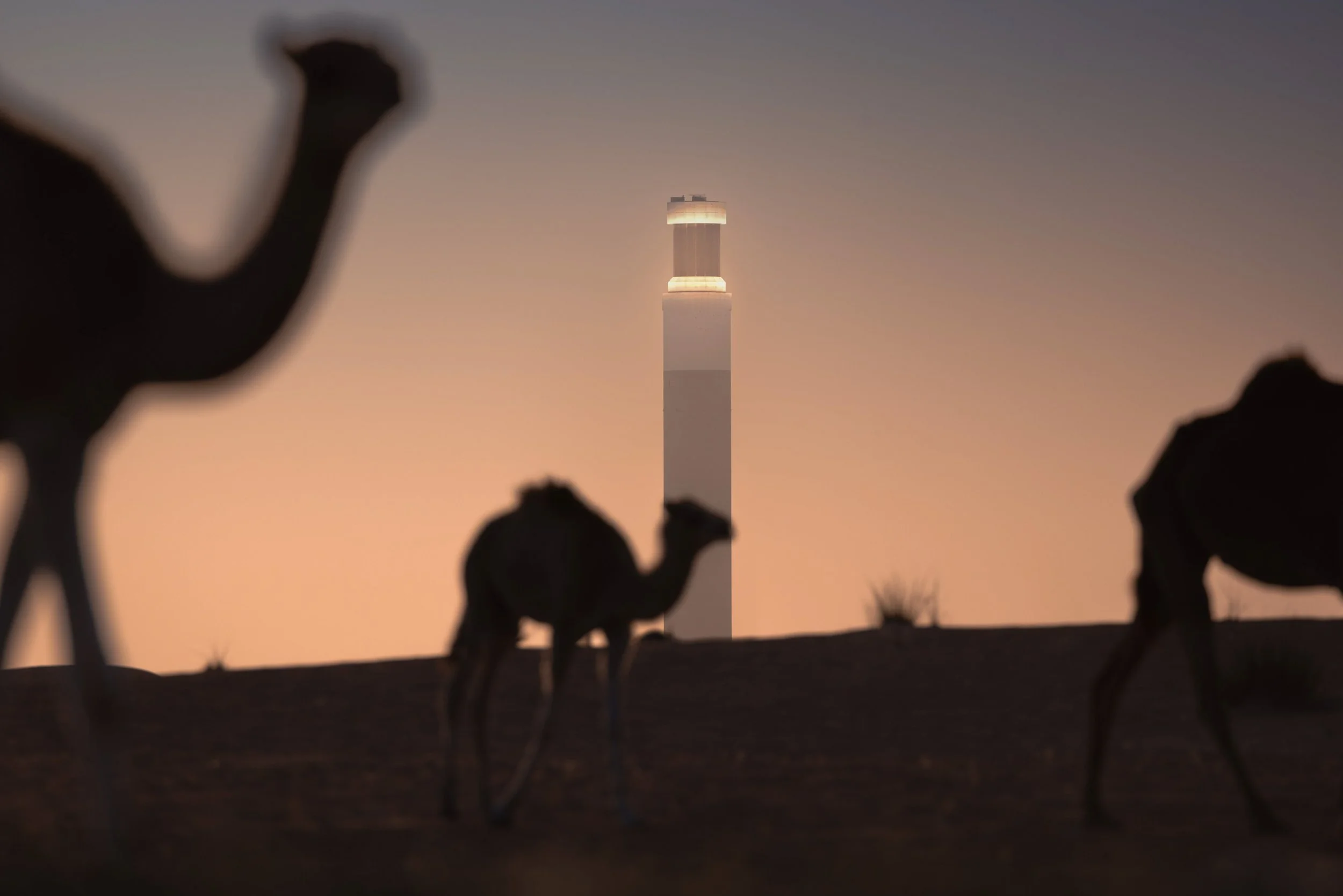 mbr-solar-tower-dewa-dubai-camel-silhouettes-sarab.jpg