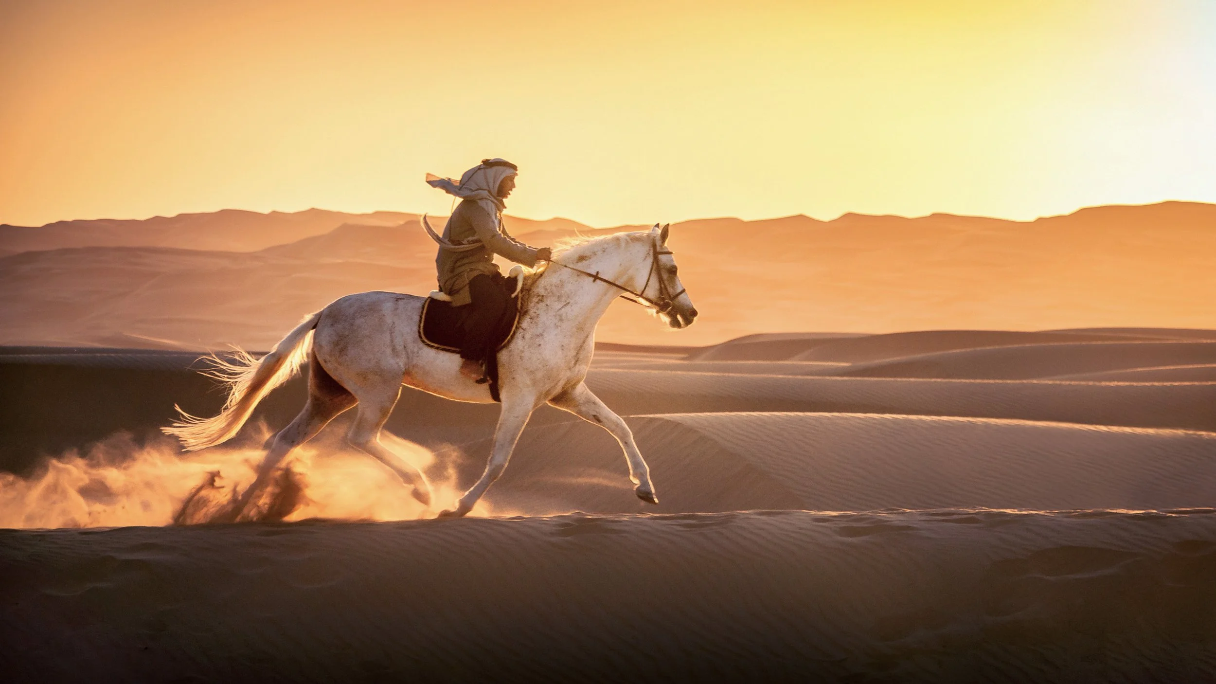 emirati-rider-galloping-white-arabian-horse-desert-uae-sarab.jpg
