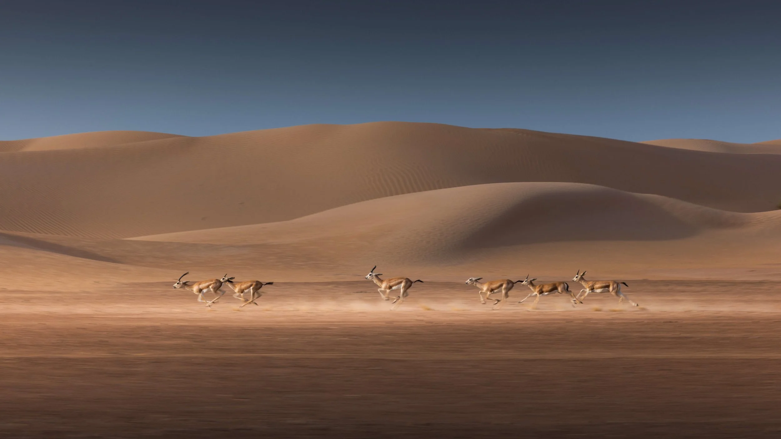 Fine Art Landscapes