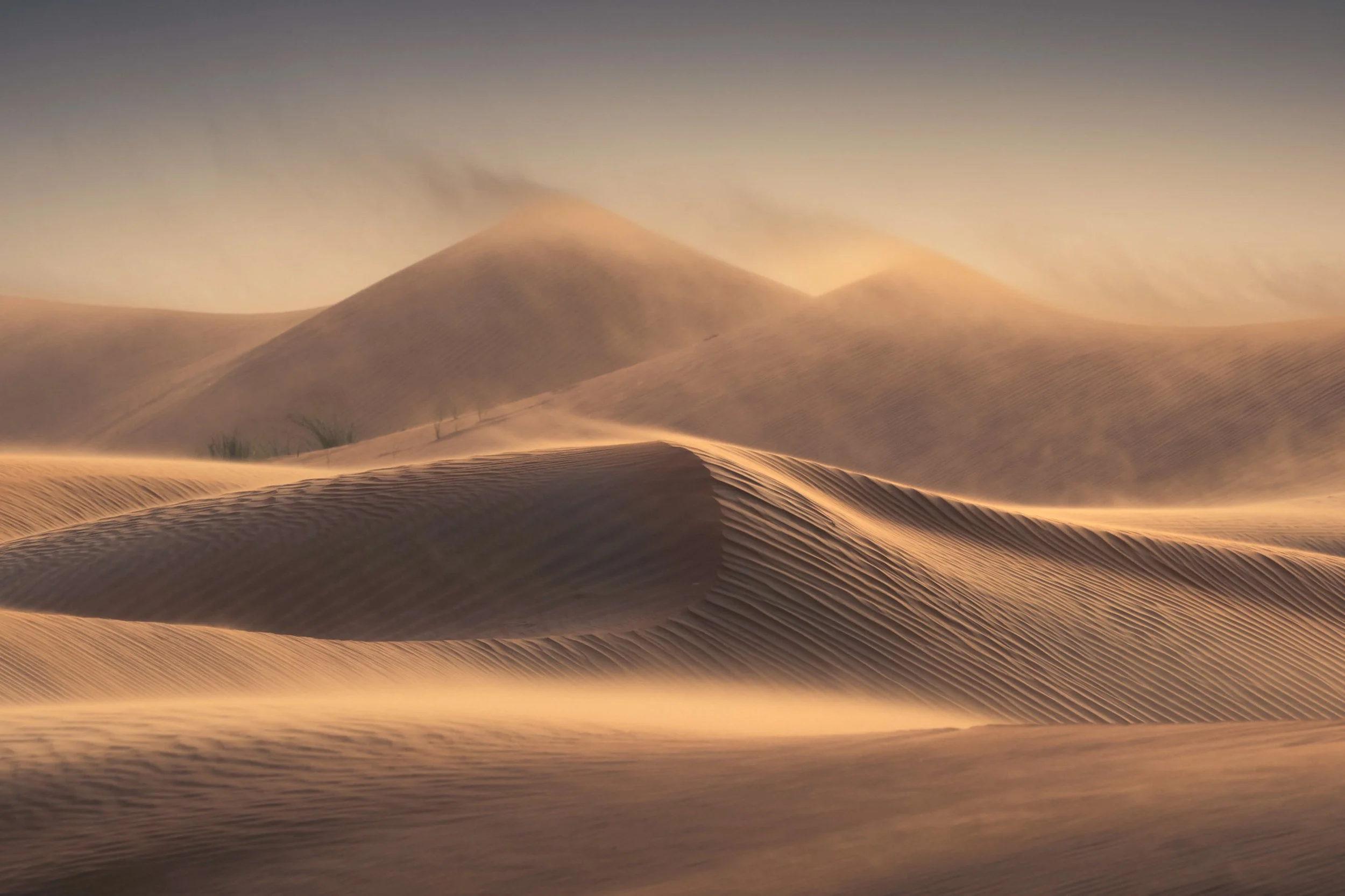 uae-arabian-desert-windblown-sand-dunes-sarab.jpg