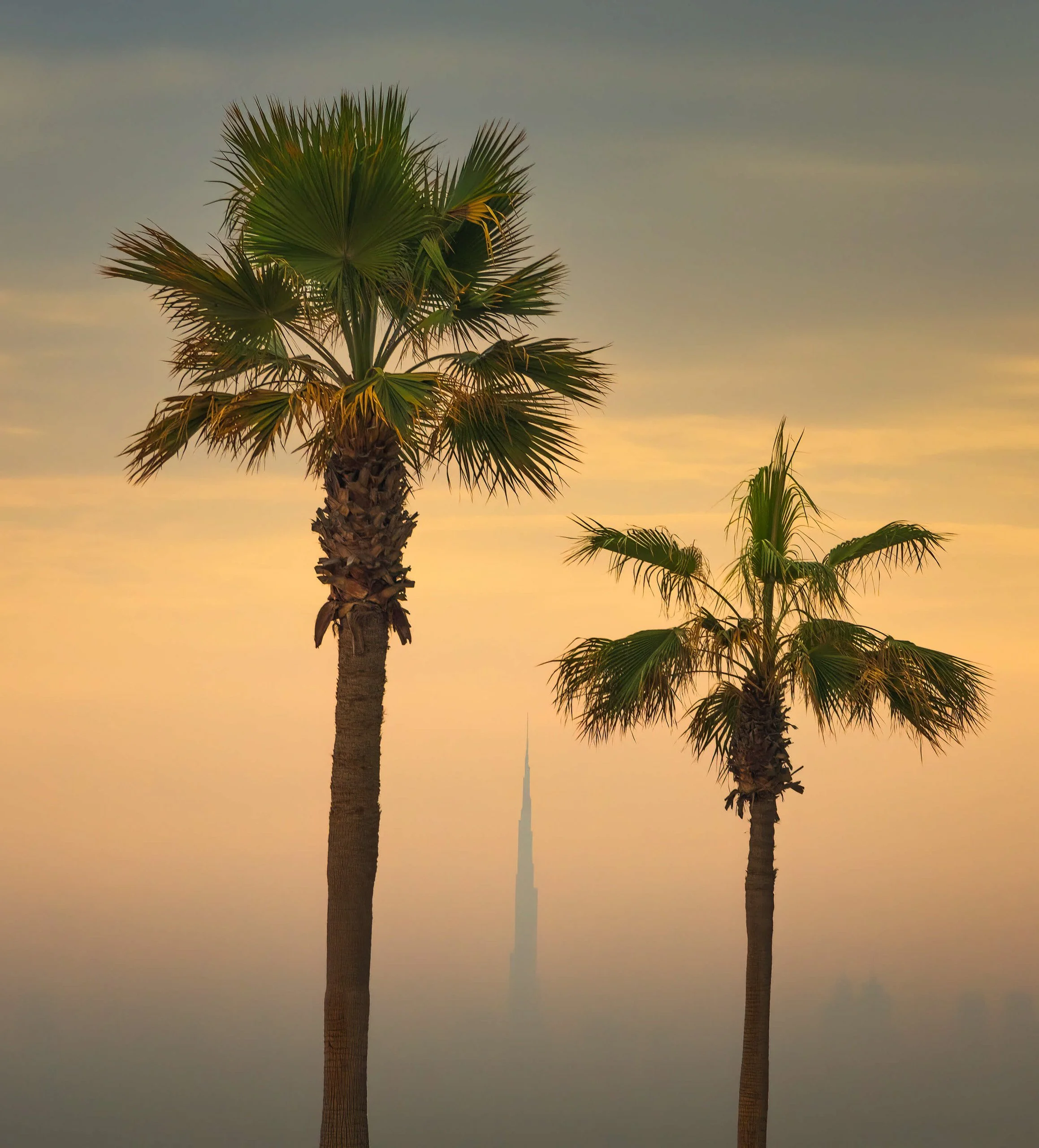 fine-art-photo-burj-khalifa-palm-trees-sarab-ahmad-alnajii.jpg
