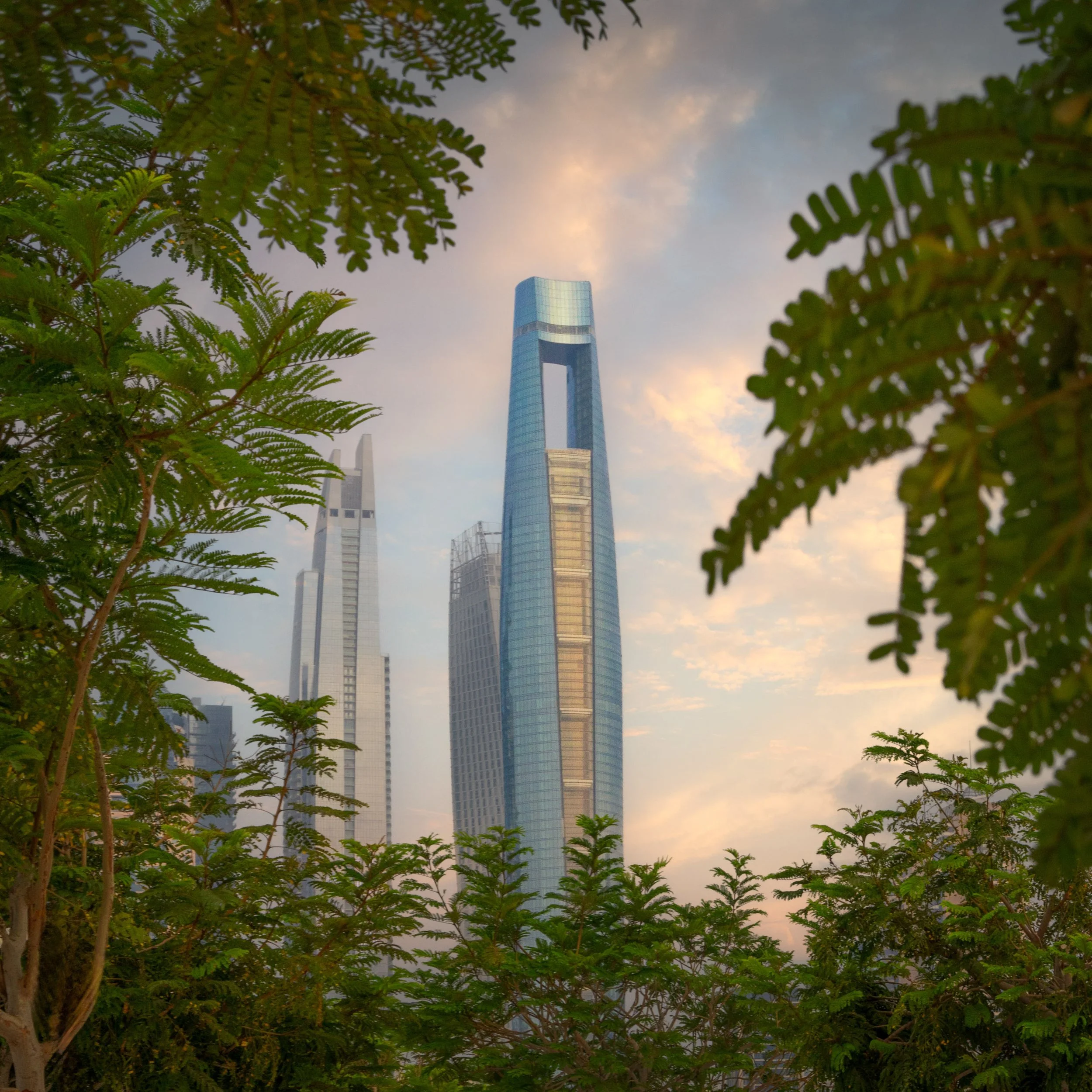 Ciel Dubai Marina seen through tree branches at dusk.
