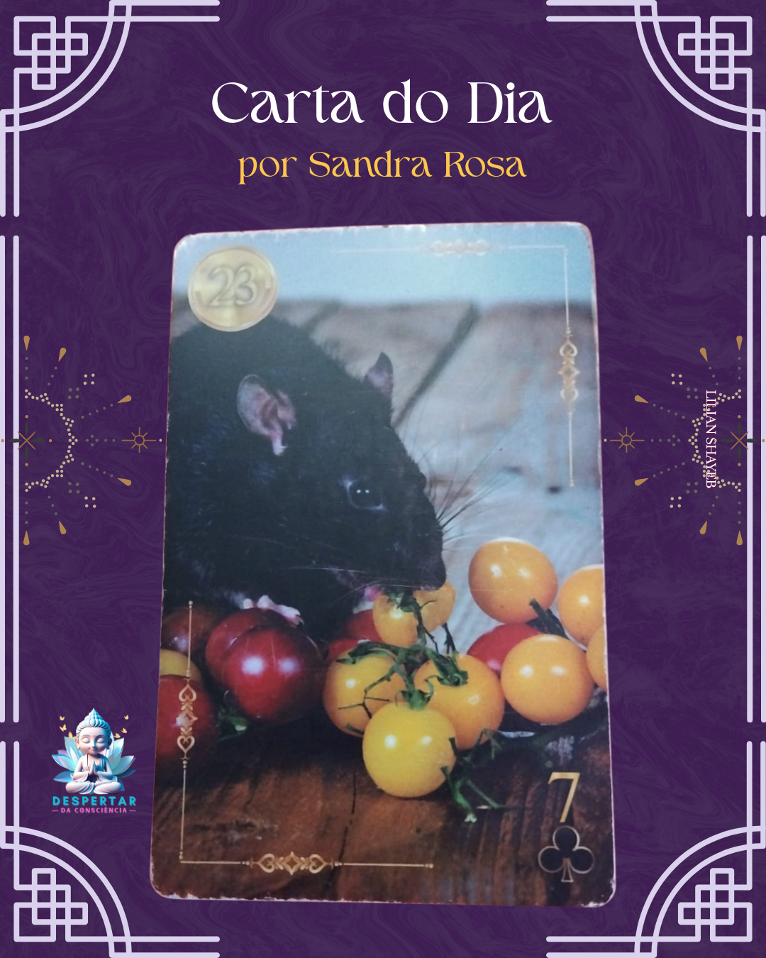 Carta do Dia - 14/07/25