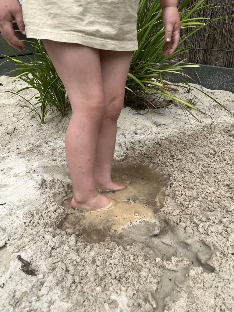 blair feet in sand.jpg