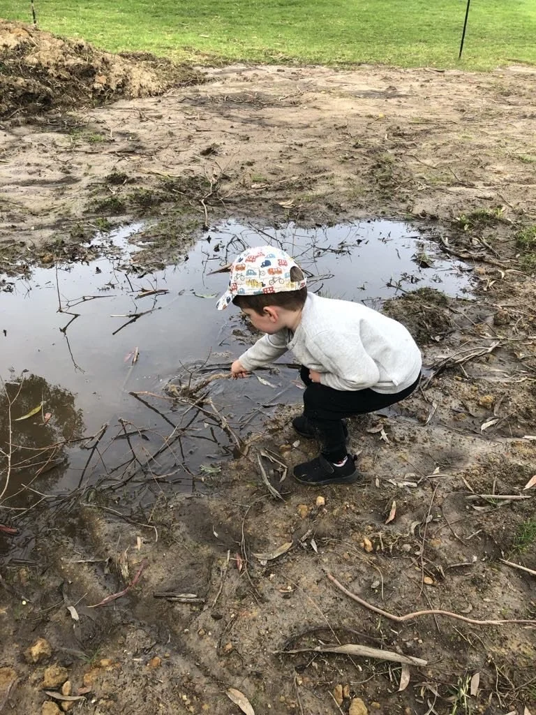 tait stick in puddle.jpg