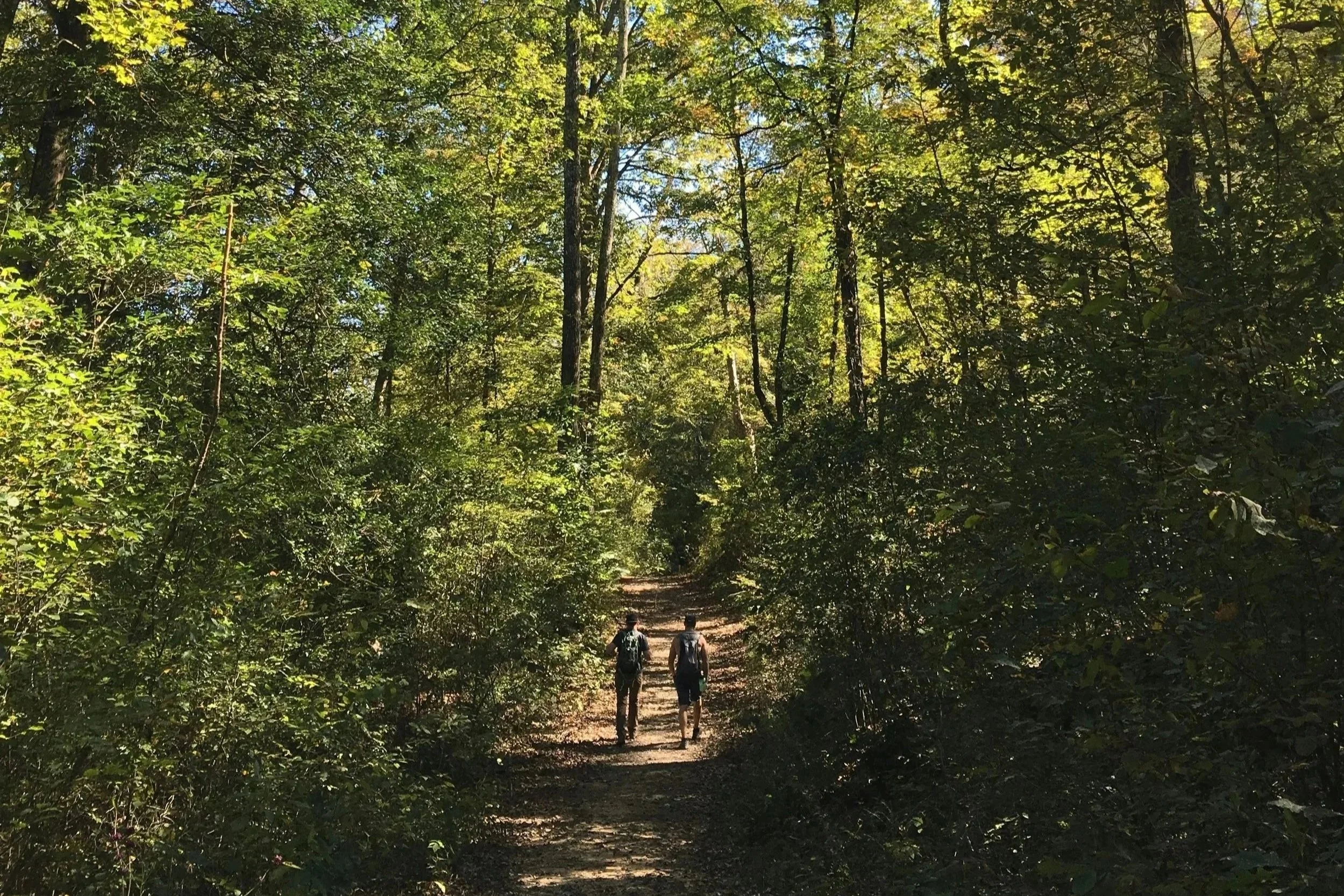 Közös séta és rétesezés a Normafán