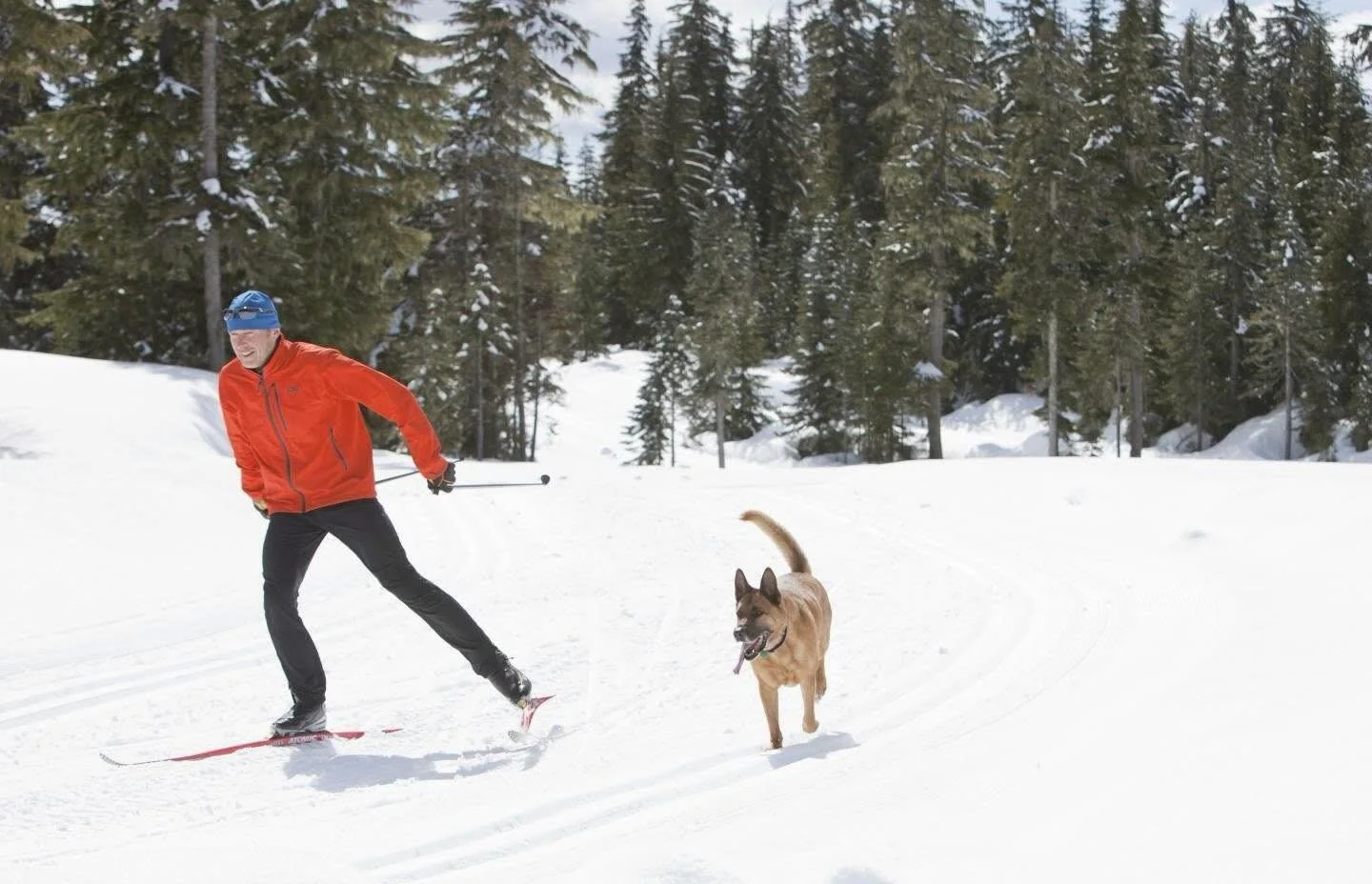 We&rsquo;re one of the few Nordic places to allow dogs, so far so good. Dogs can run anywhere they like as long as they are under control and don&rsquo;t bother any other skiers and you pick up after them. If it continues to work out well we&rsquo;ll