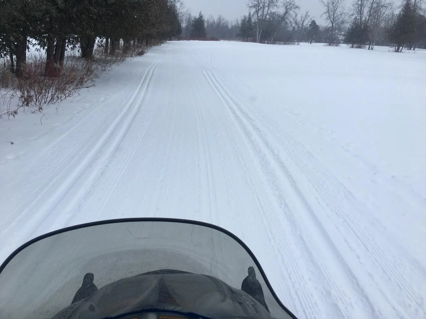 Peterborough Nordic all groomed this morning. Ideal conditions, beautiful winter day to ski.