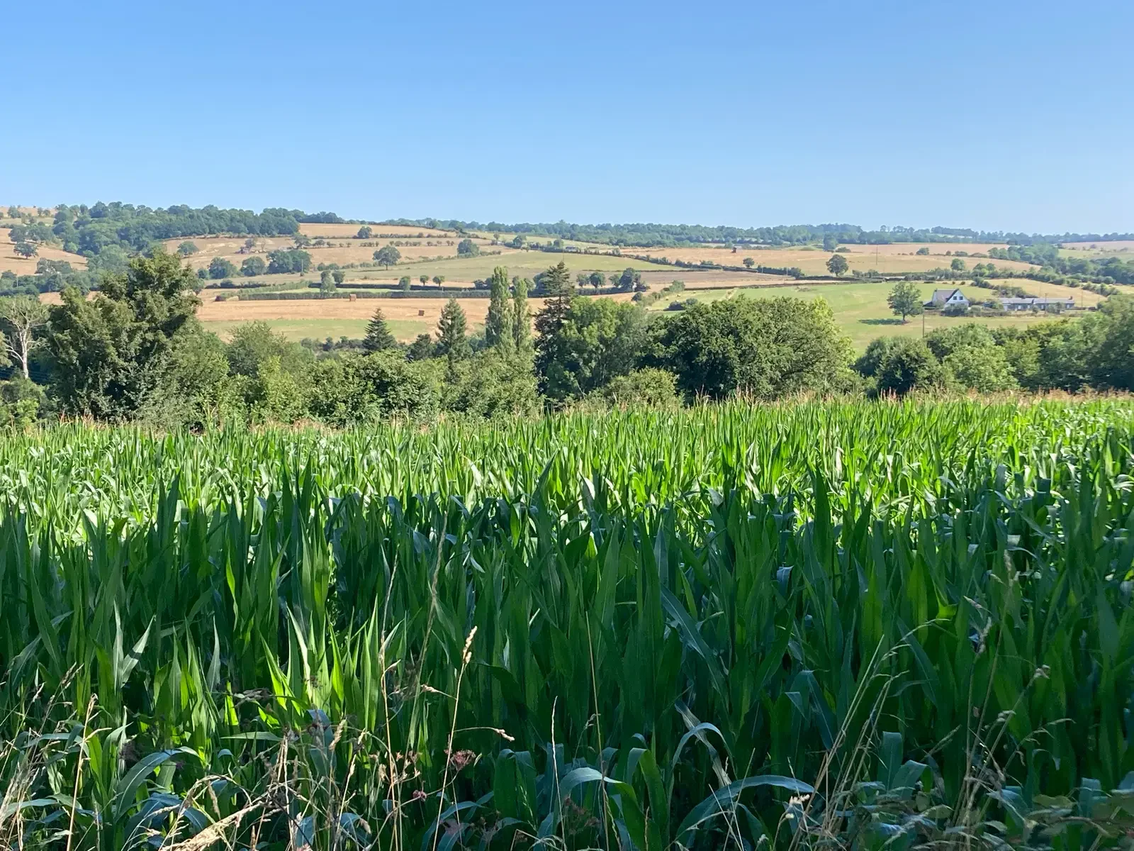 Coduvelo Tocht van Loire tot Normandie