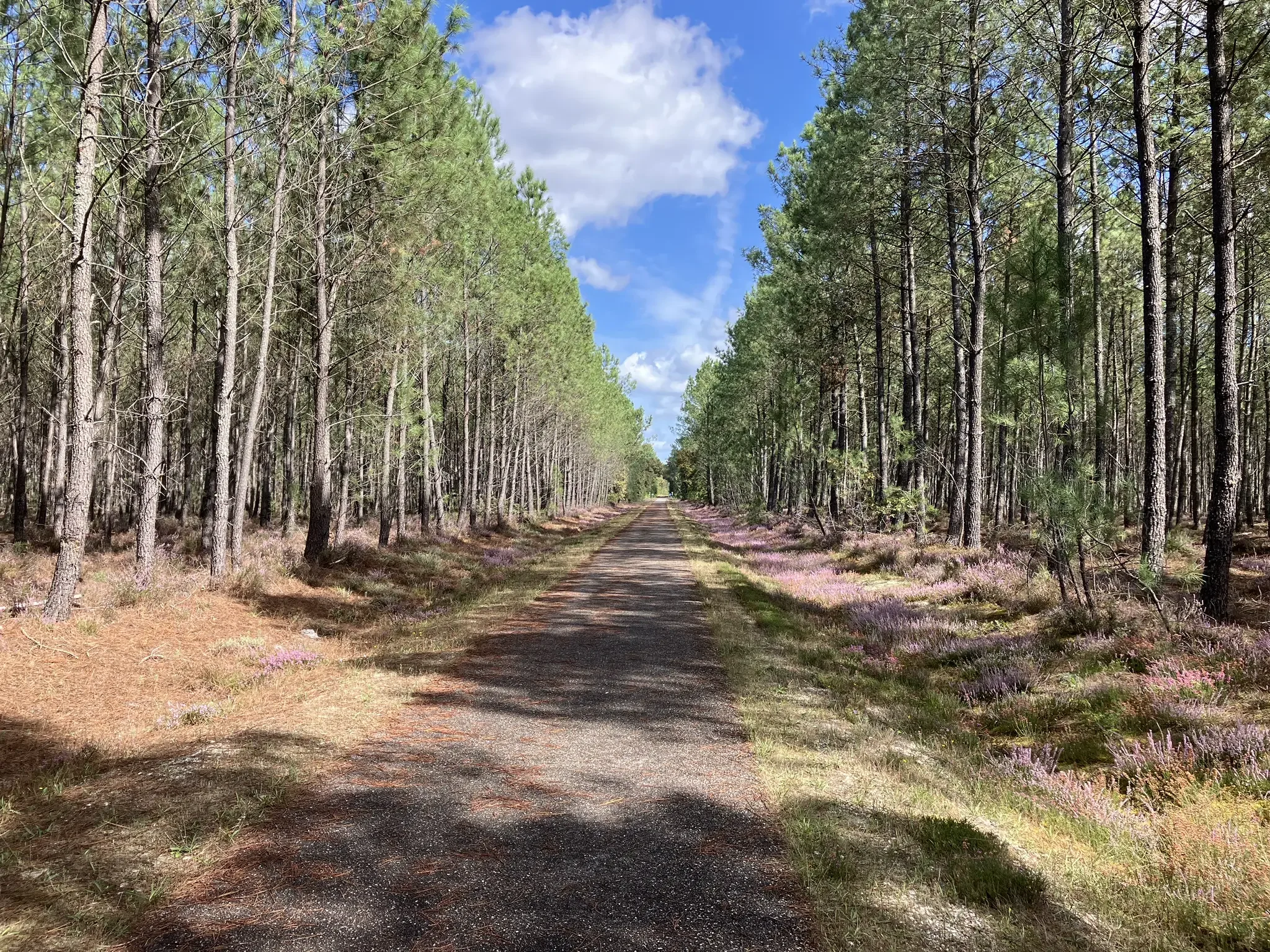 Coduvelo Bordeaux passage