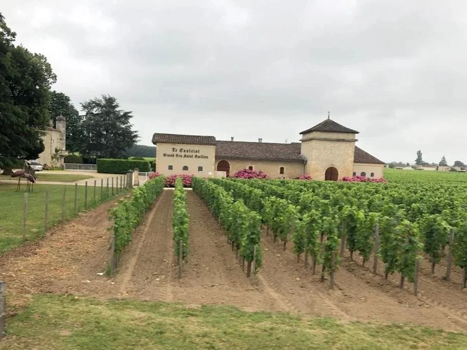 Coduvelo Passage Bordeaux wijnvelden