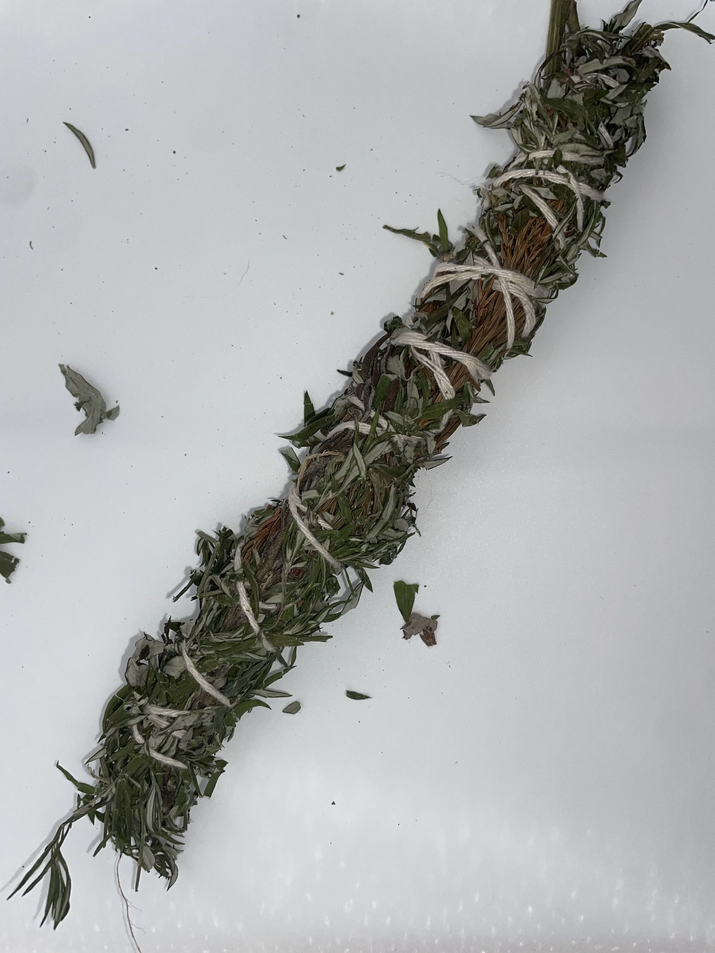 mugwort full shoot.jpeg