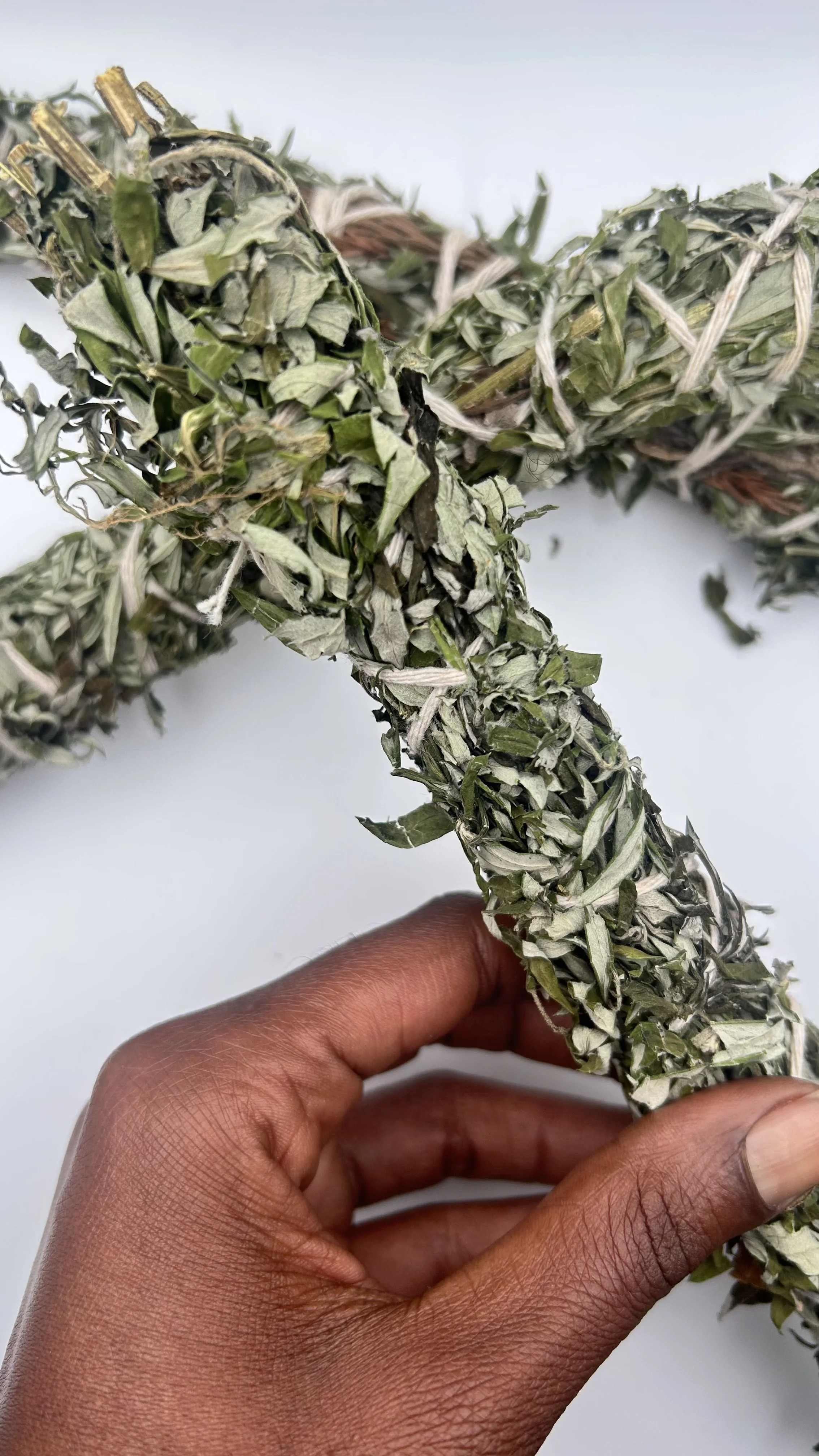 mugwort in hand.jpeg