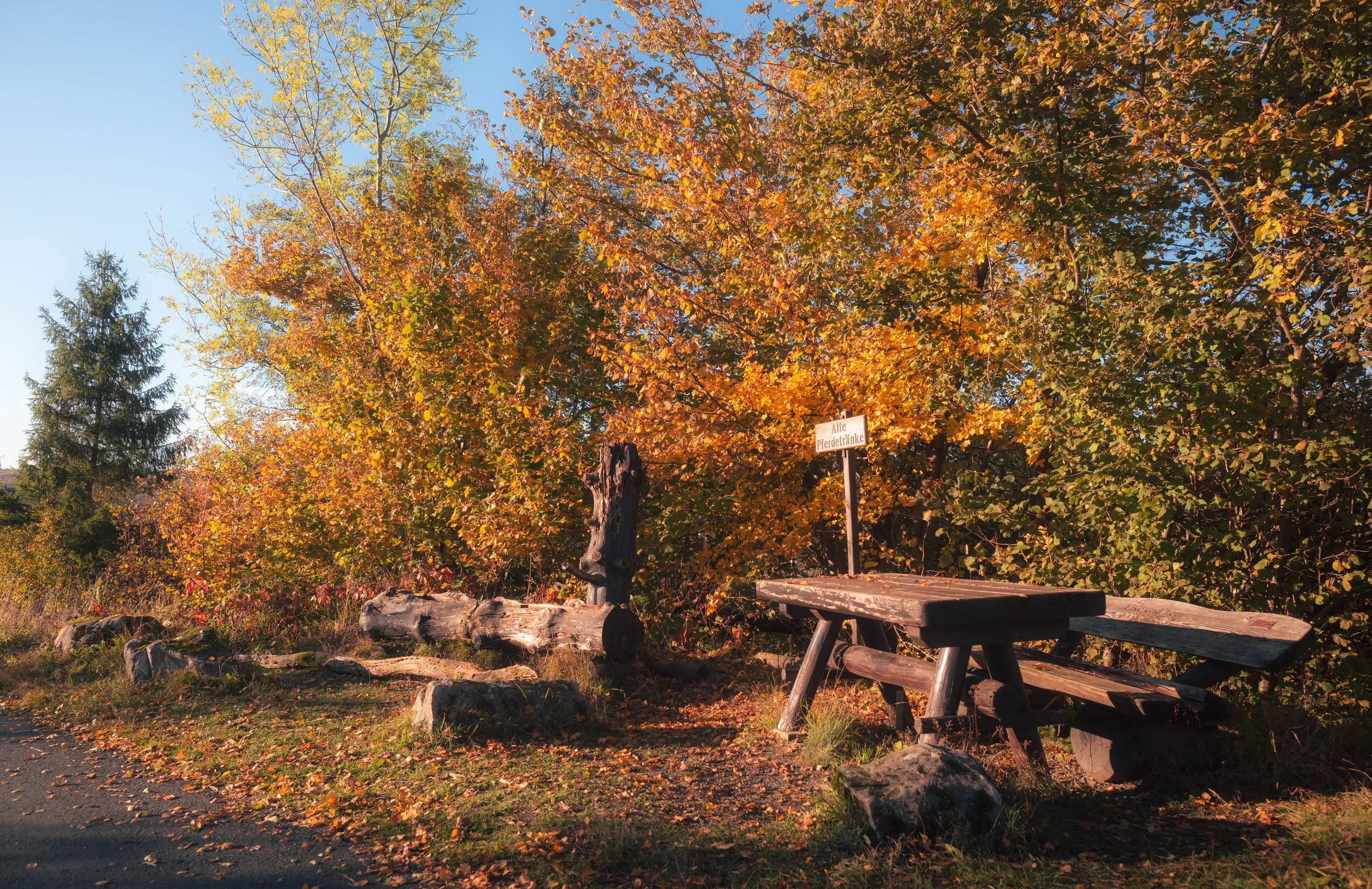 DSC_2689-22.jpg