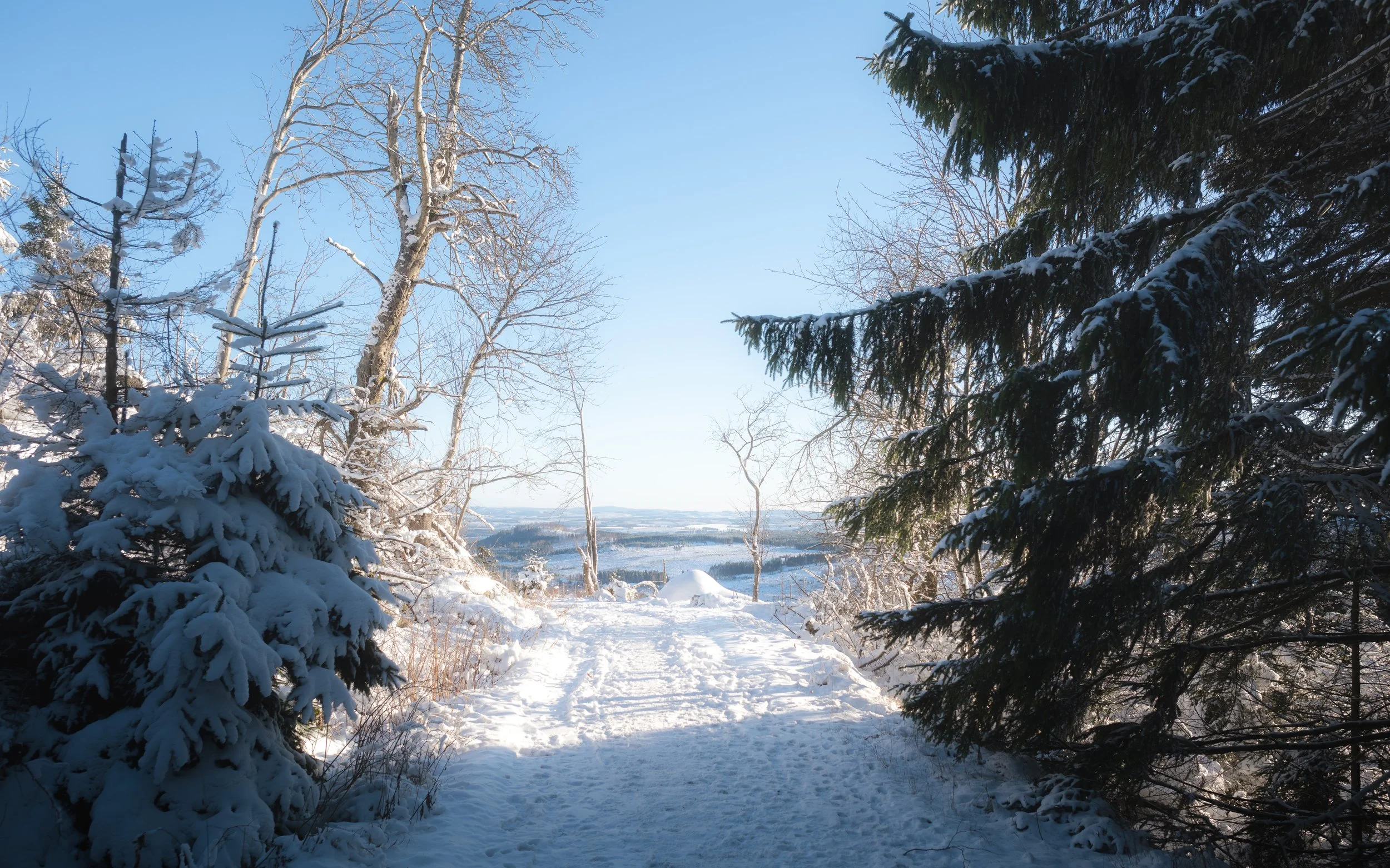 DSC_2908-24.jpg