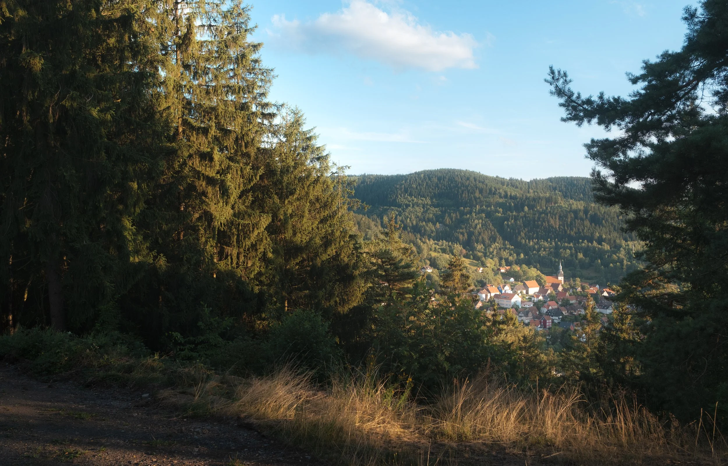 Lautenthal | August