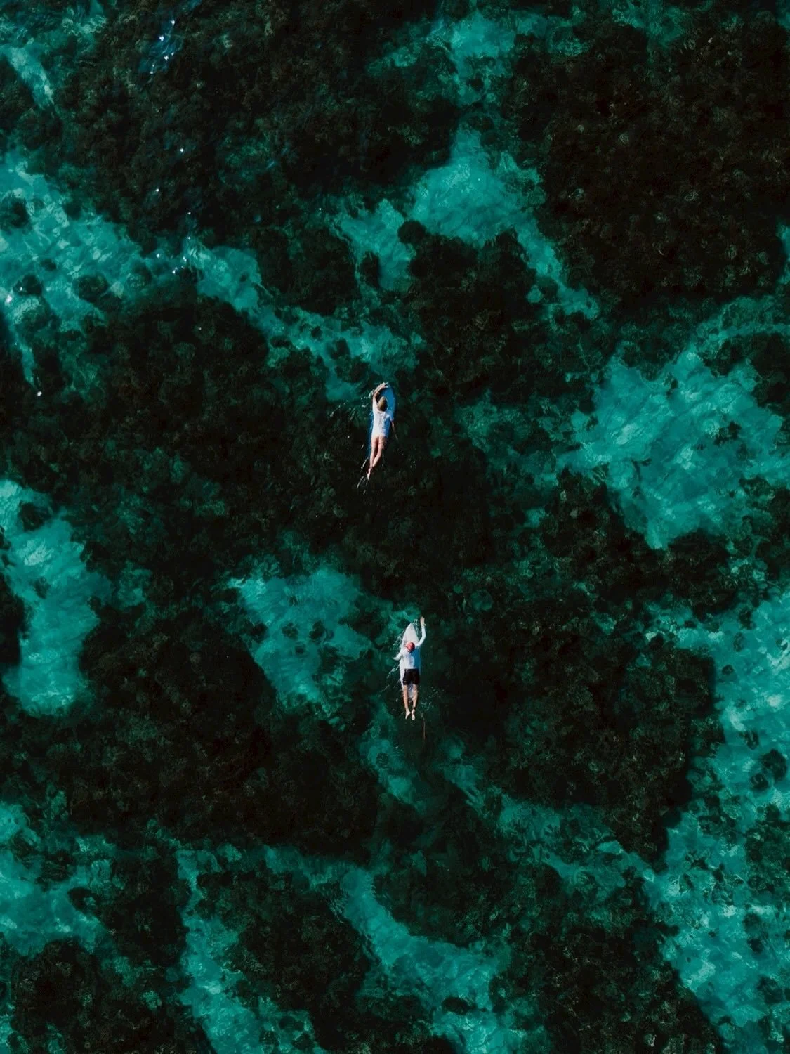 A quiet harmony between the first light of day and the glistening song of the sea.

朝の光が差し込む海岸

改めてこの環境の素晴らしさに気付かされる朝でした

Hello Julyですね！早っ

楽しい月になりそうだ☺️

＊作品の配送、オンラインストアからの配送は7/15までお休みです。
＊7/8-7/13の期間は撮影可能です。　DMで連絡ください🎥

#photographer
#filmmaker 
#w