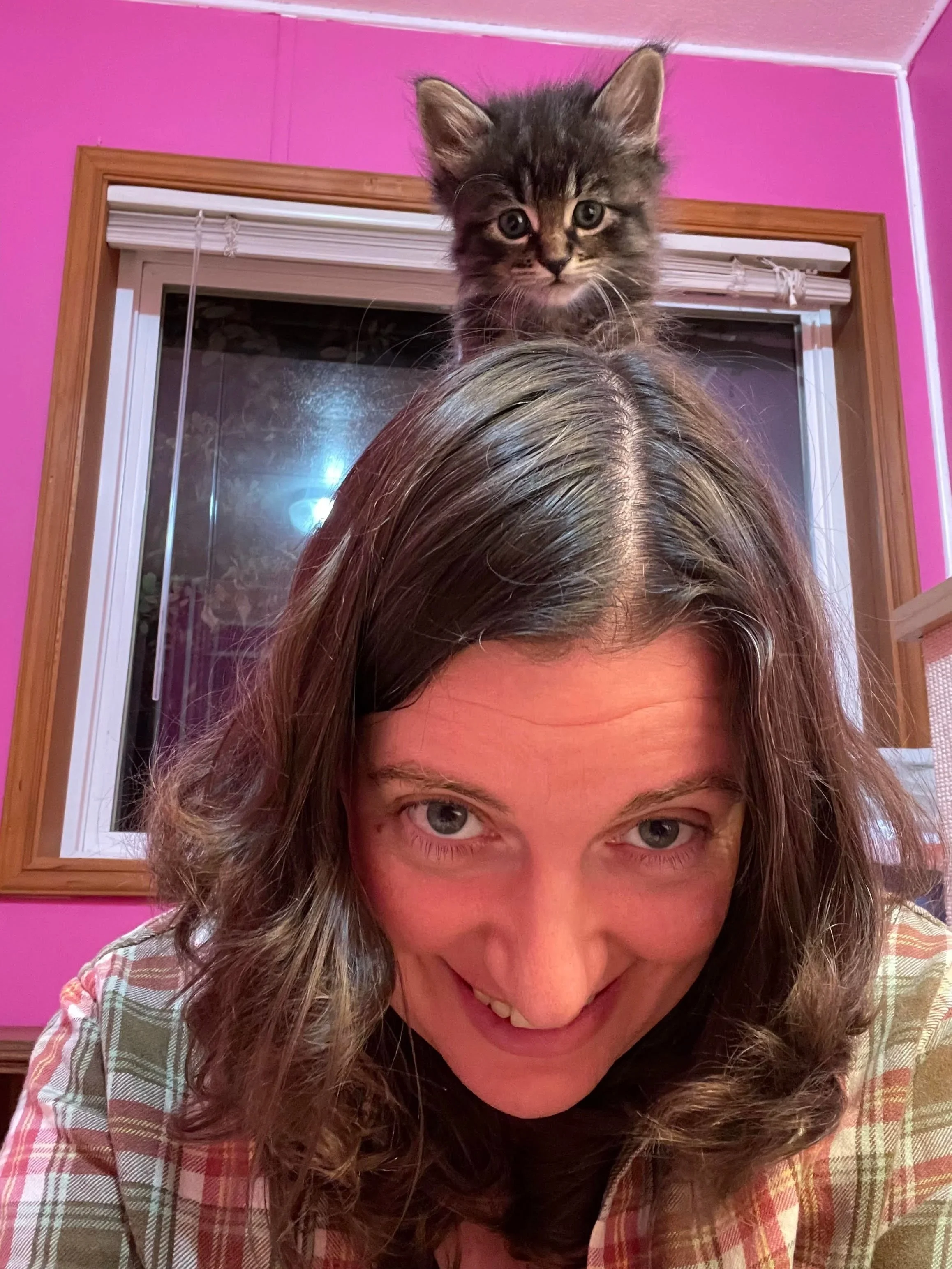 Postpartum doula and kitten
