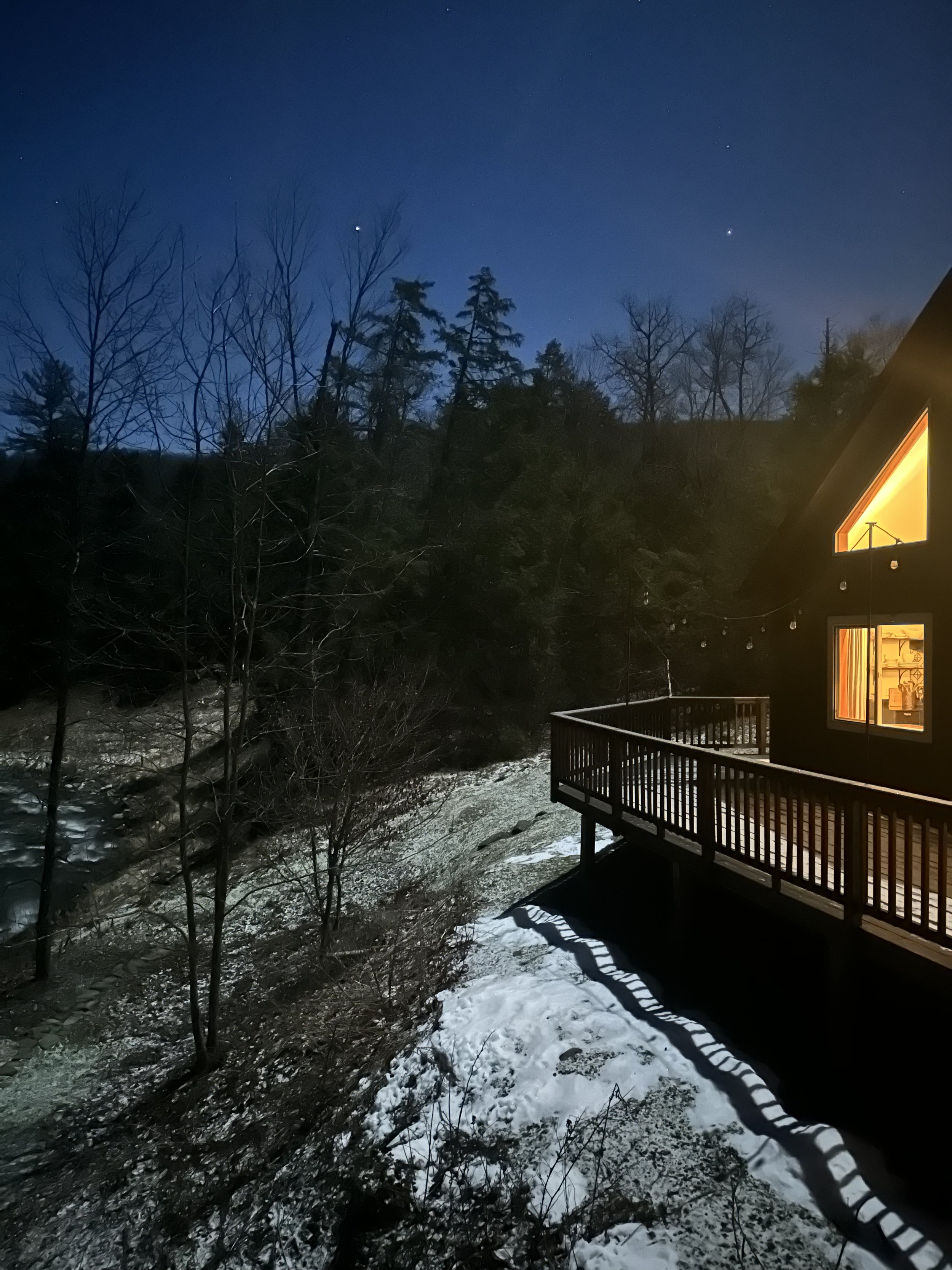 cozy cabin in the woods