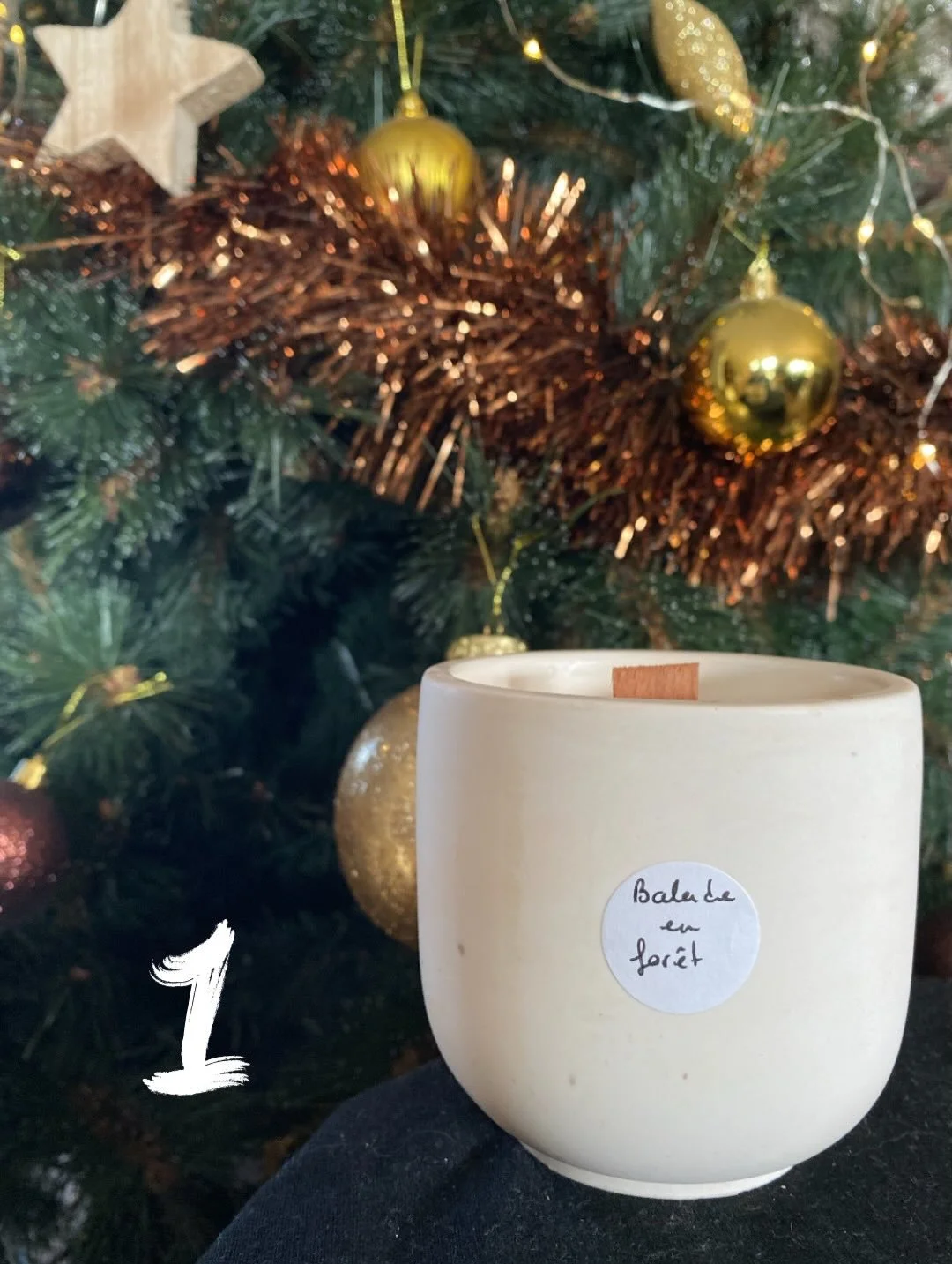 Les commandes personnalis&eacute;es &eacute;tant termin&eacute;es pour 2025, voici les toutes derni&egrave;res bougies de la collection automne-hiver qui peuvent encore se retrouver sous le sapin 🎁🎄

N&rsquo;h&eacute;sitez pas &agrave; m&rsquo;envo