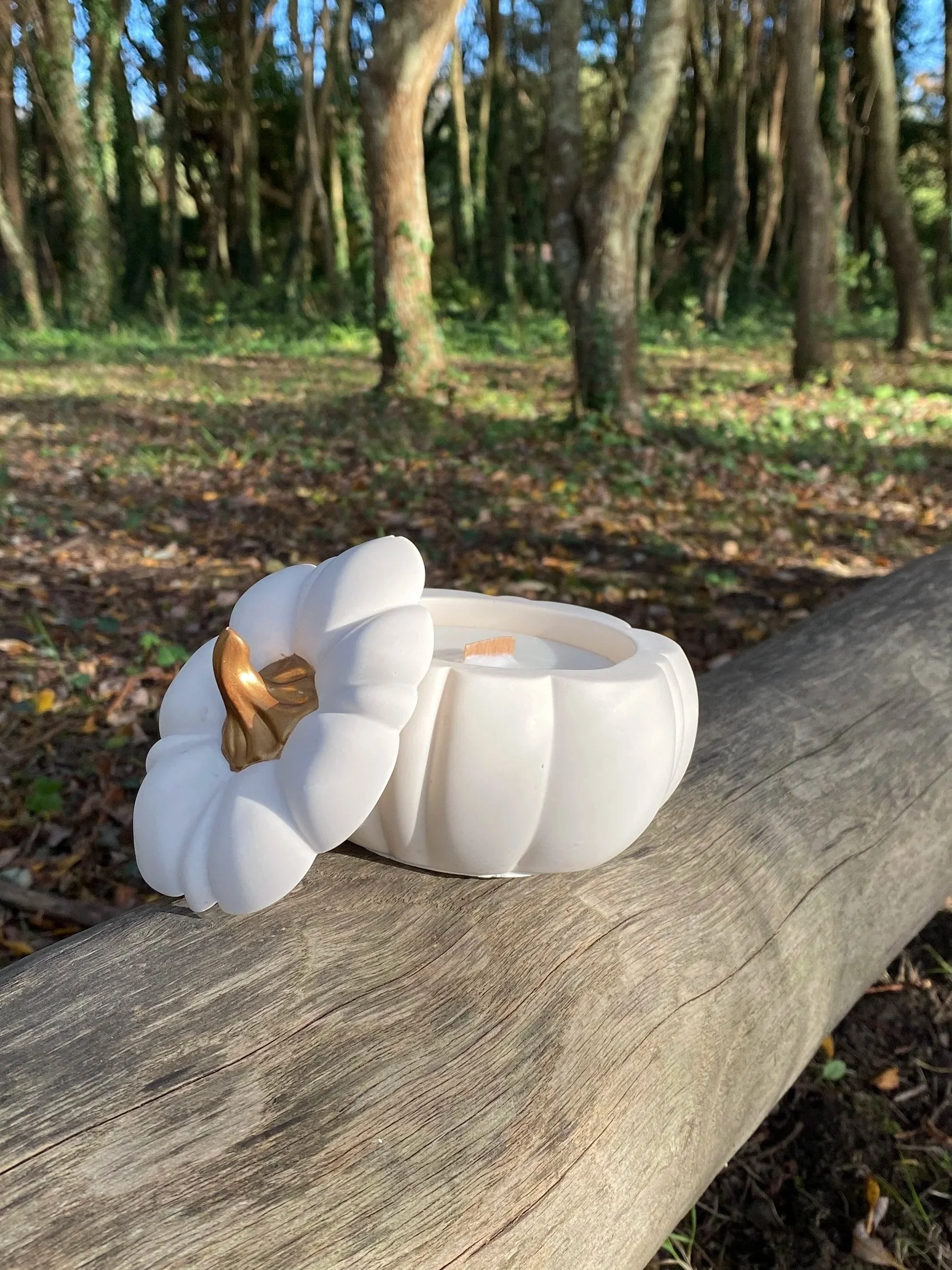 La Bougie Citrouille