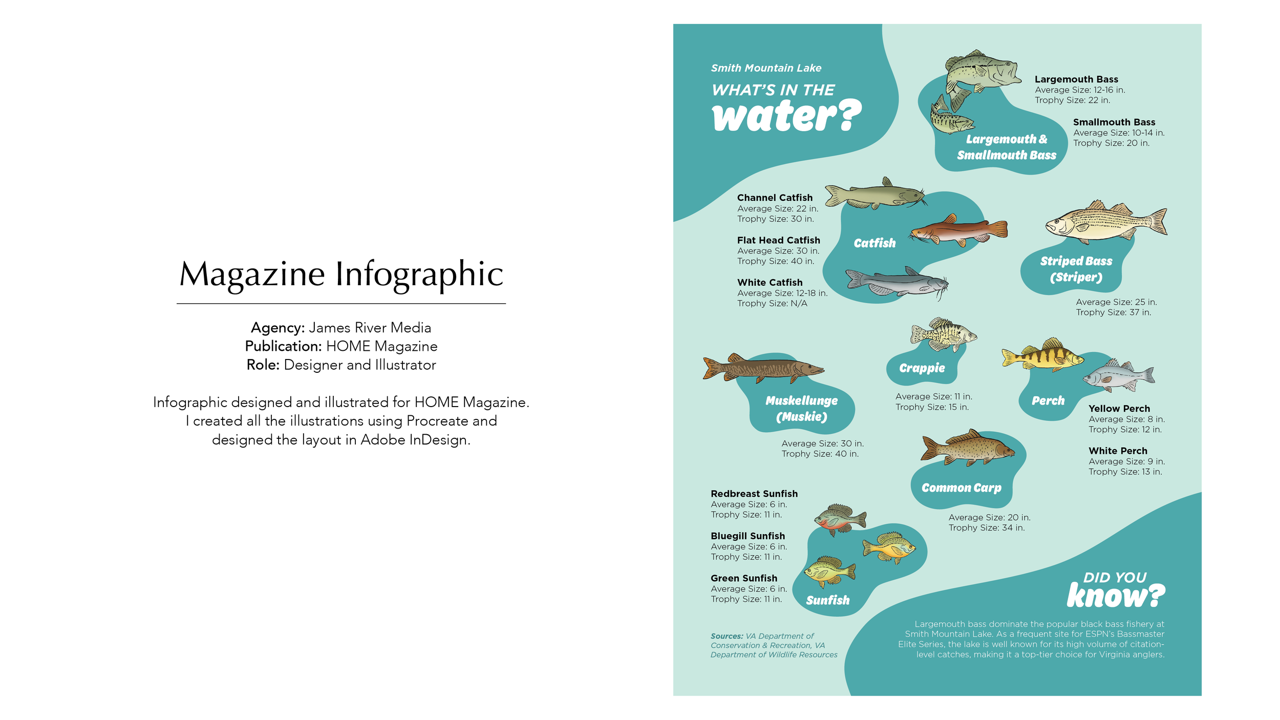 Whitehead_Portfolio37.png