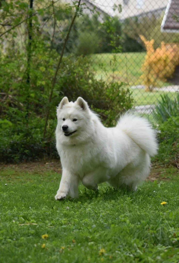 Malischka 22-04-18 (2).JPG