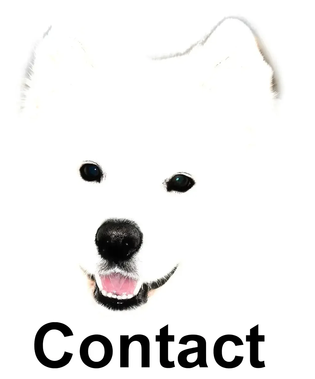 Image d'un samoyède souriant avec le mot 'Contact' en bas.