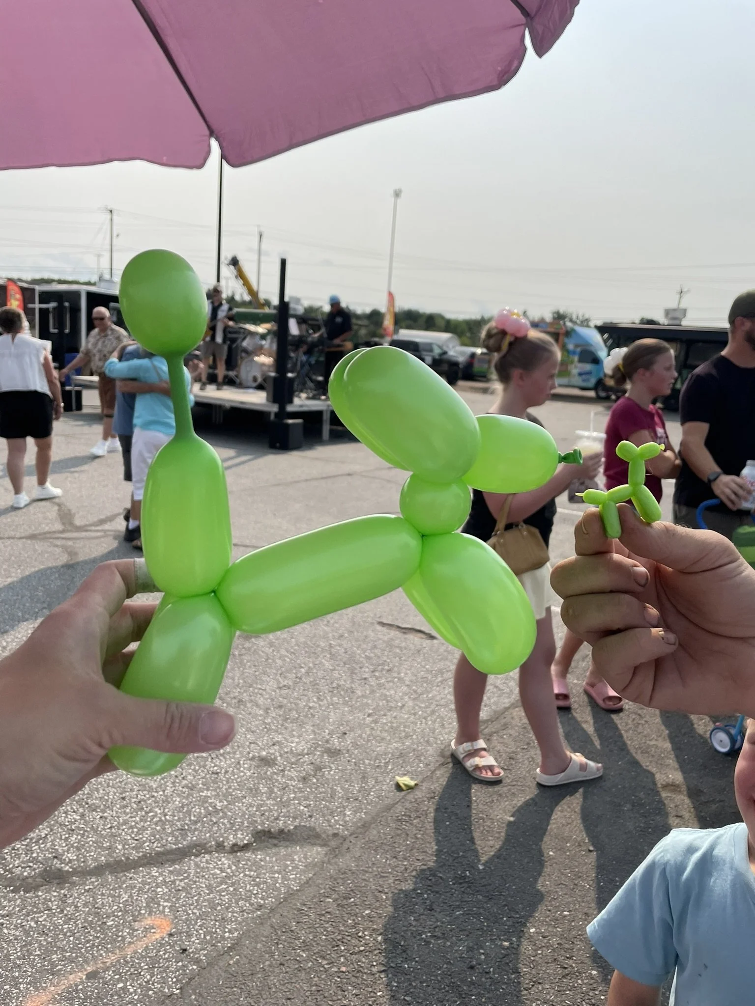balloon dog vs. mini balloon.JPEG