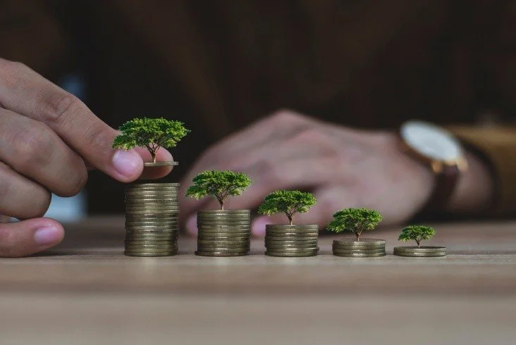 How Much Can You Make as a Nurse vs a Cannabis Farmer? Salary, Profits, and Long-Term Earnings Compared