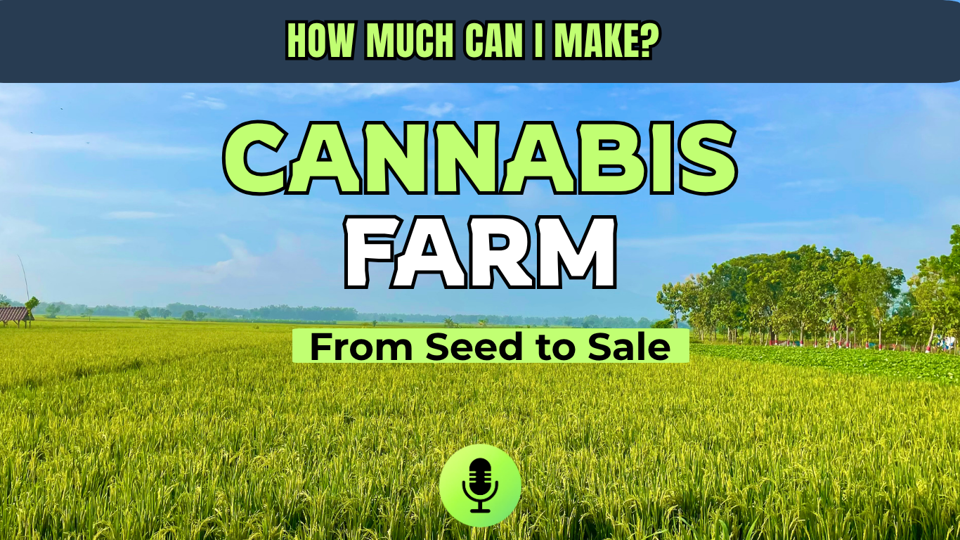  Inside A New York Cannabis Farm - A  Unique Career Opportunity