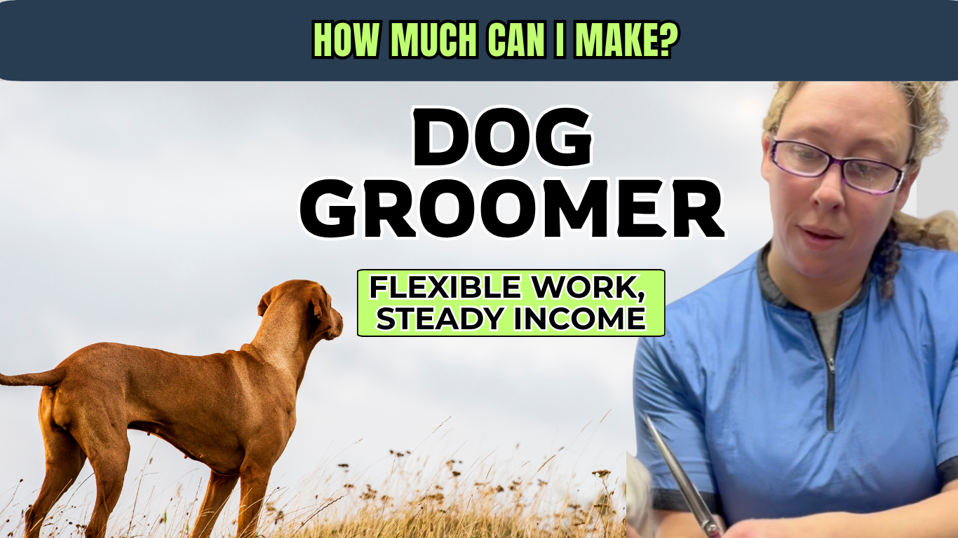 Dog Groomer Salary: How Much You Can Make + How to Start