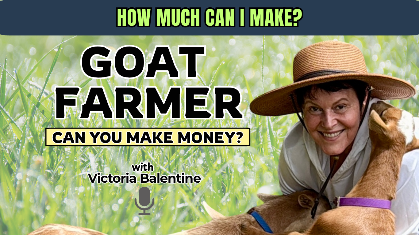 A Goat Farmer In The Catskills