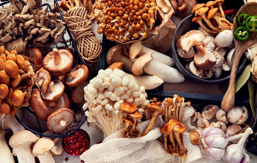 The Business of Mushrooms: Why Fungi May Be One of the Biggest Opportunities of the Next Decade