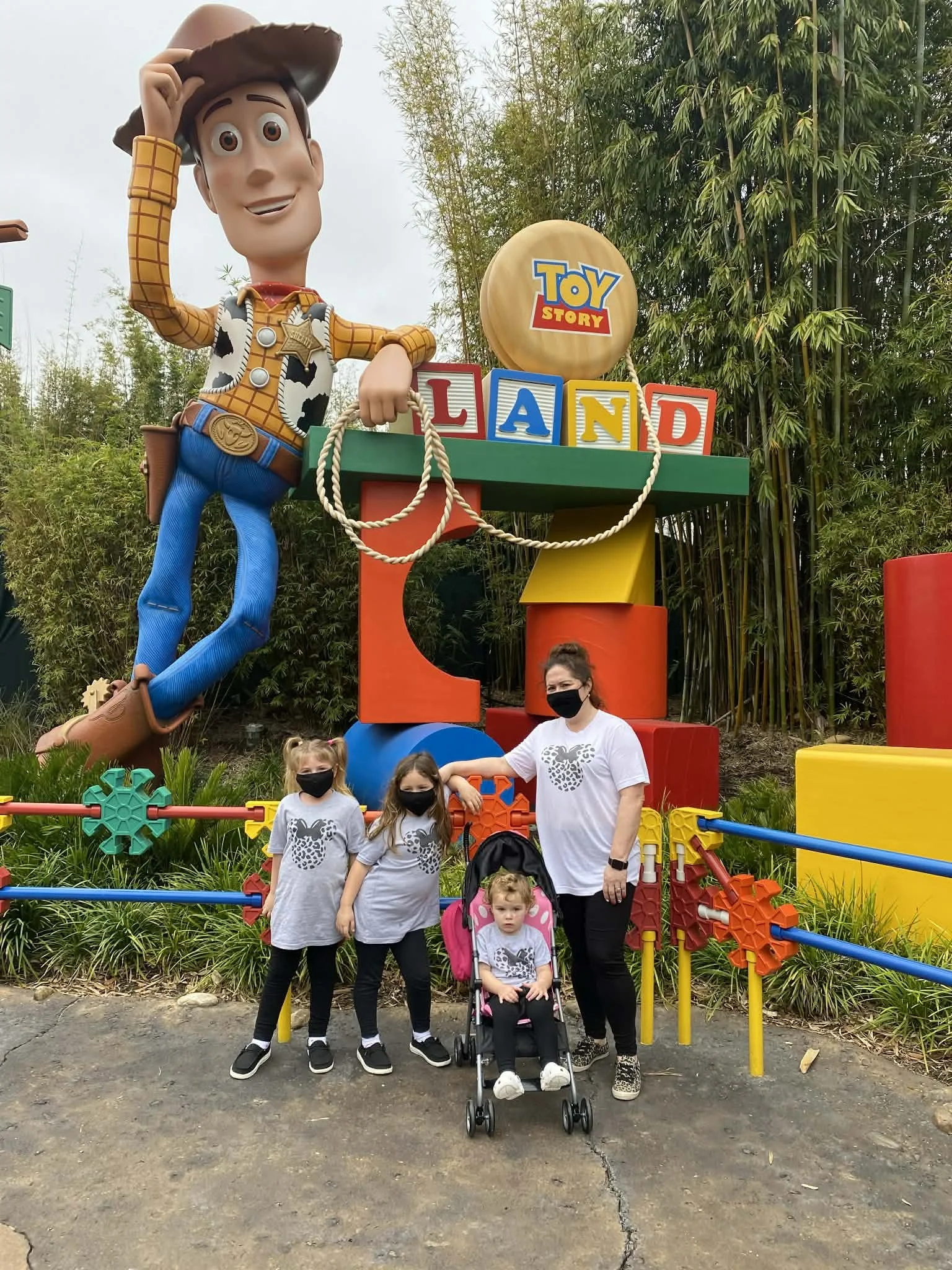 Disney World - The COVID Version