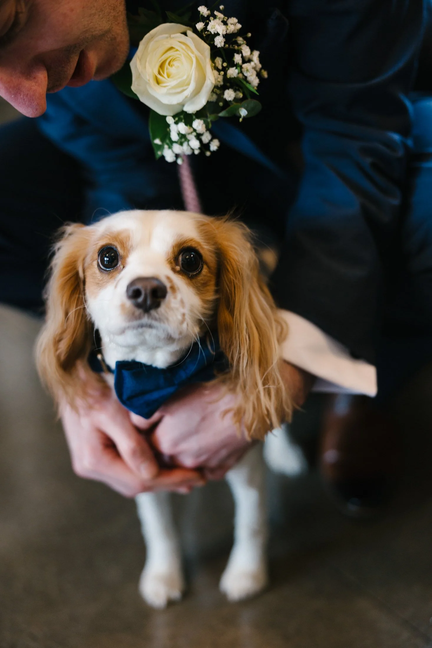 clonabreany-house-wedding-photographer-ireland-35.jpg