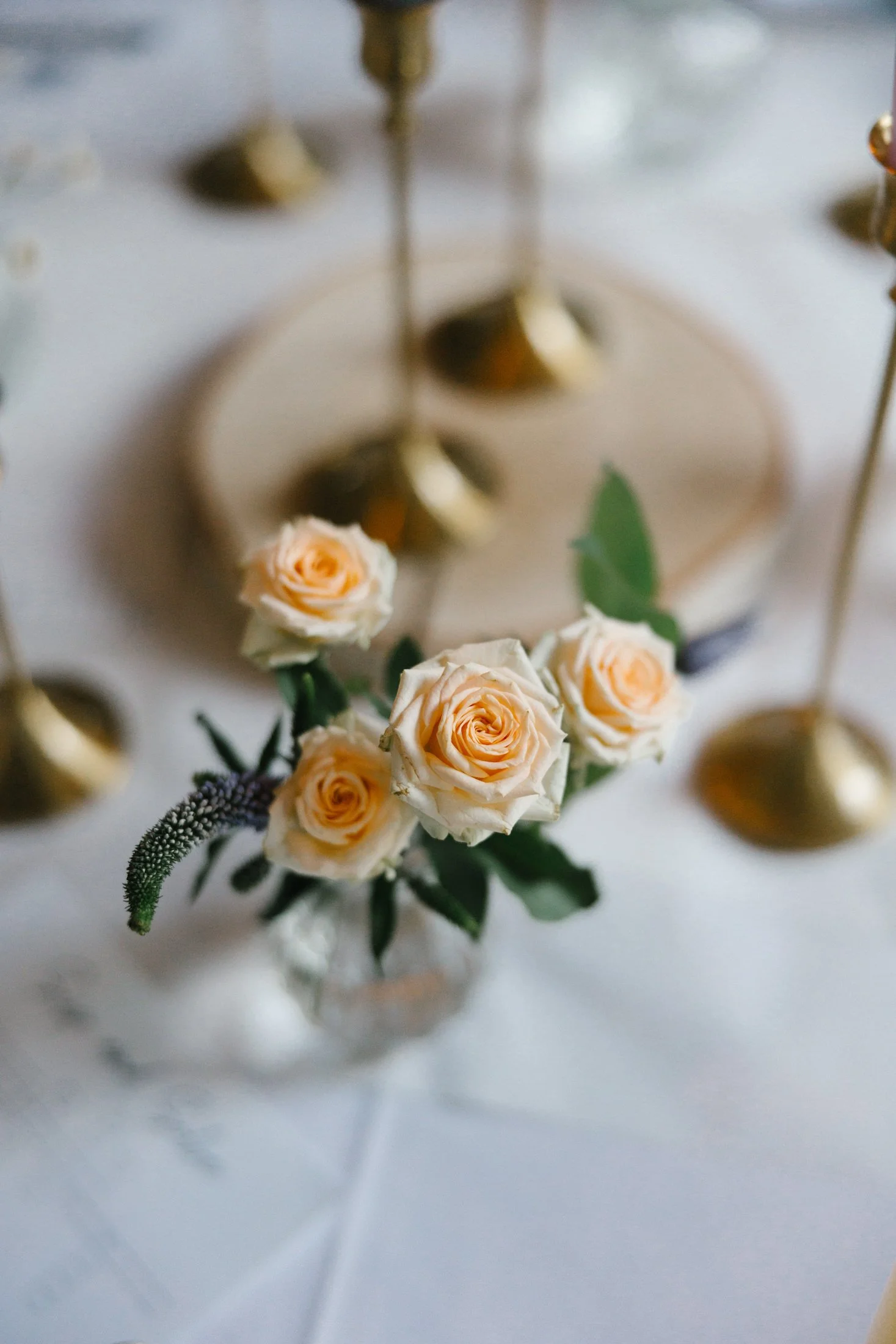 orange-tree-house-wedding-photographer-ireland-153.jpg