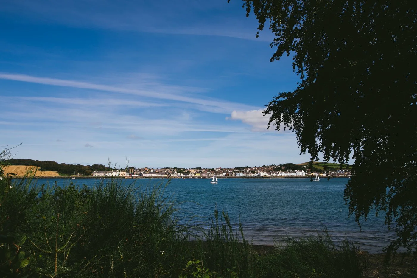 Old-Court-Wedding-Company-Strangford-015.jpg