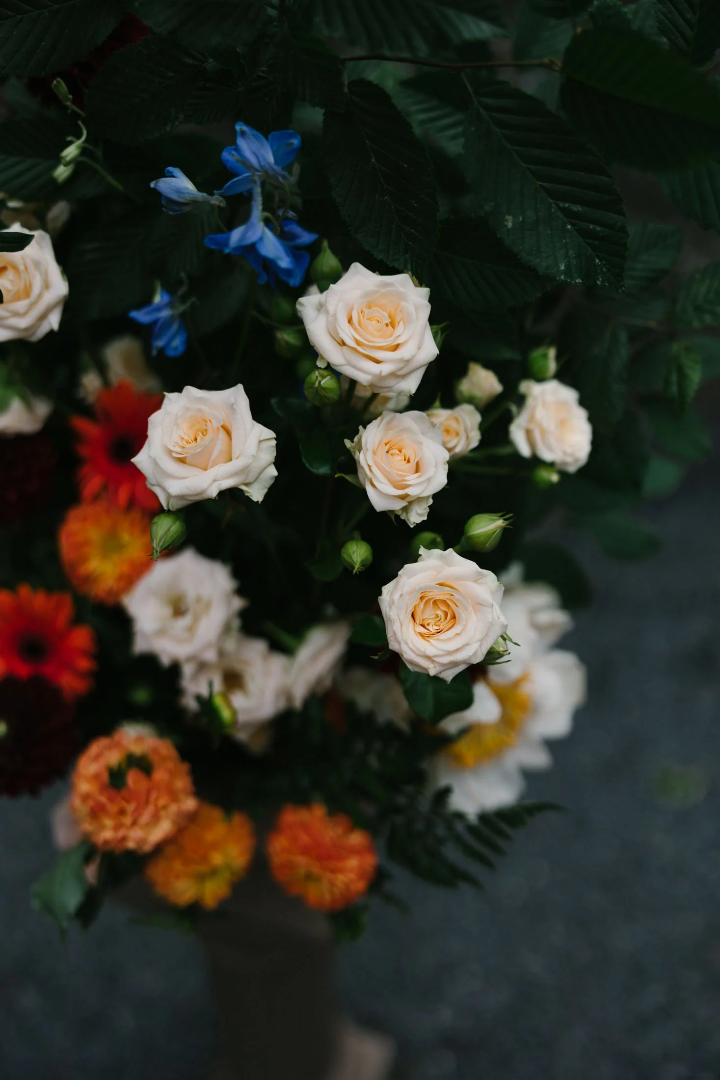 loughcrew-wedding-photographer-ireland-34.jpg